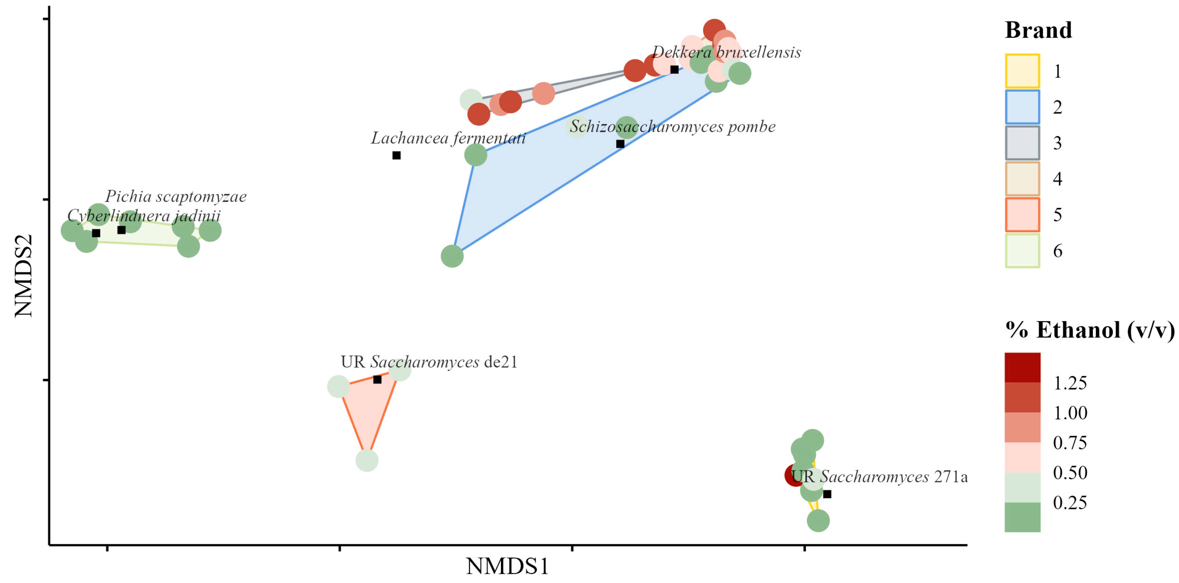 Fermentation 10 00385 g008