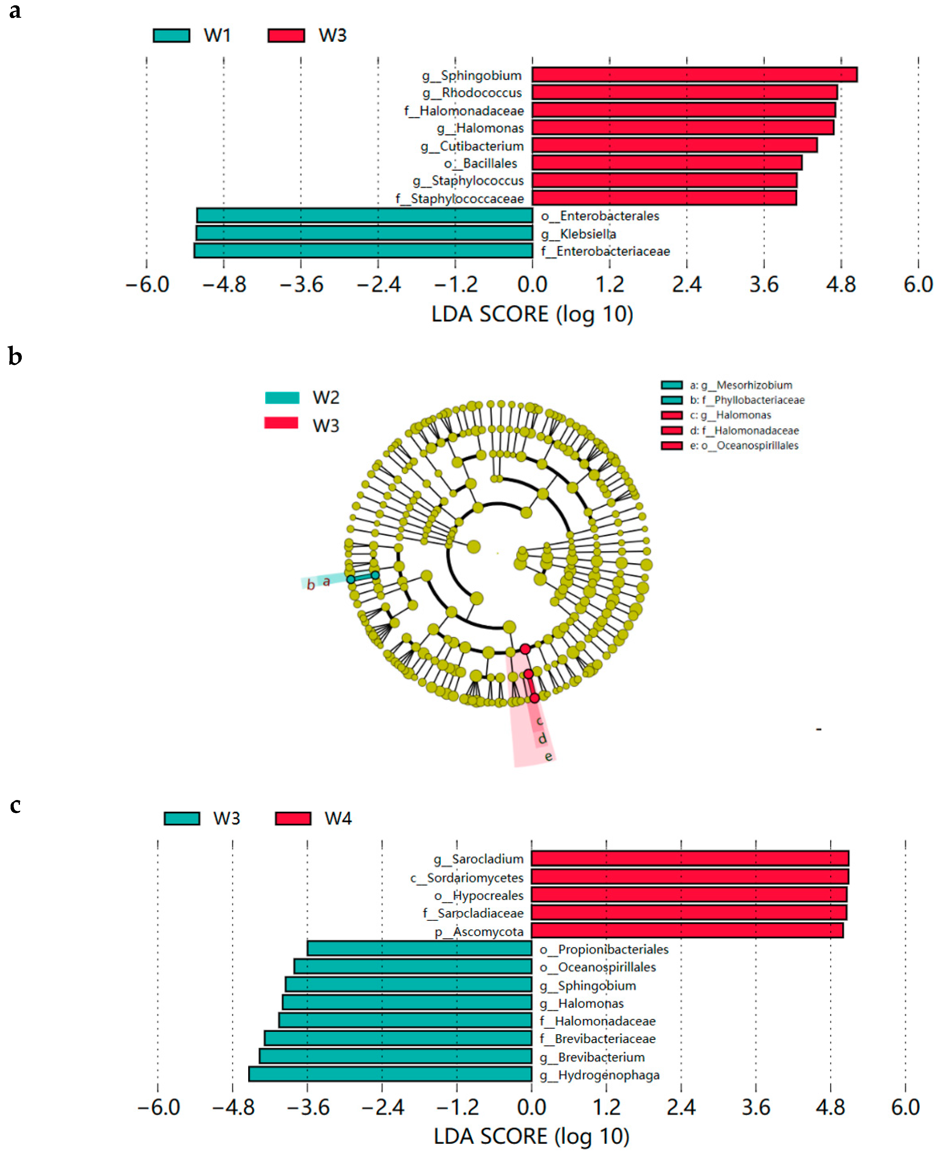Fermentation 10 00392 g005