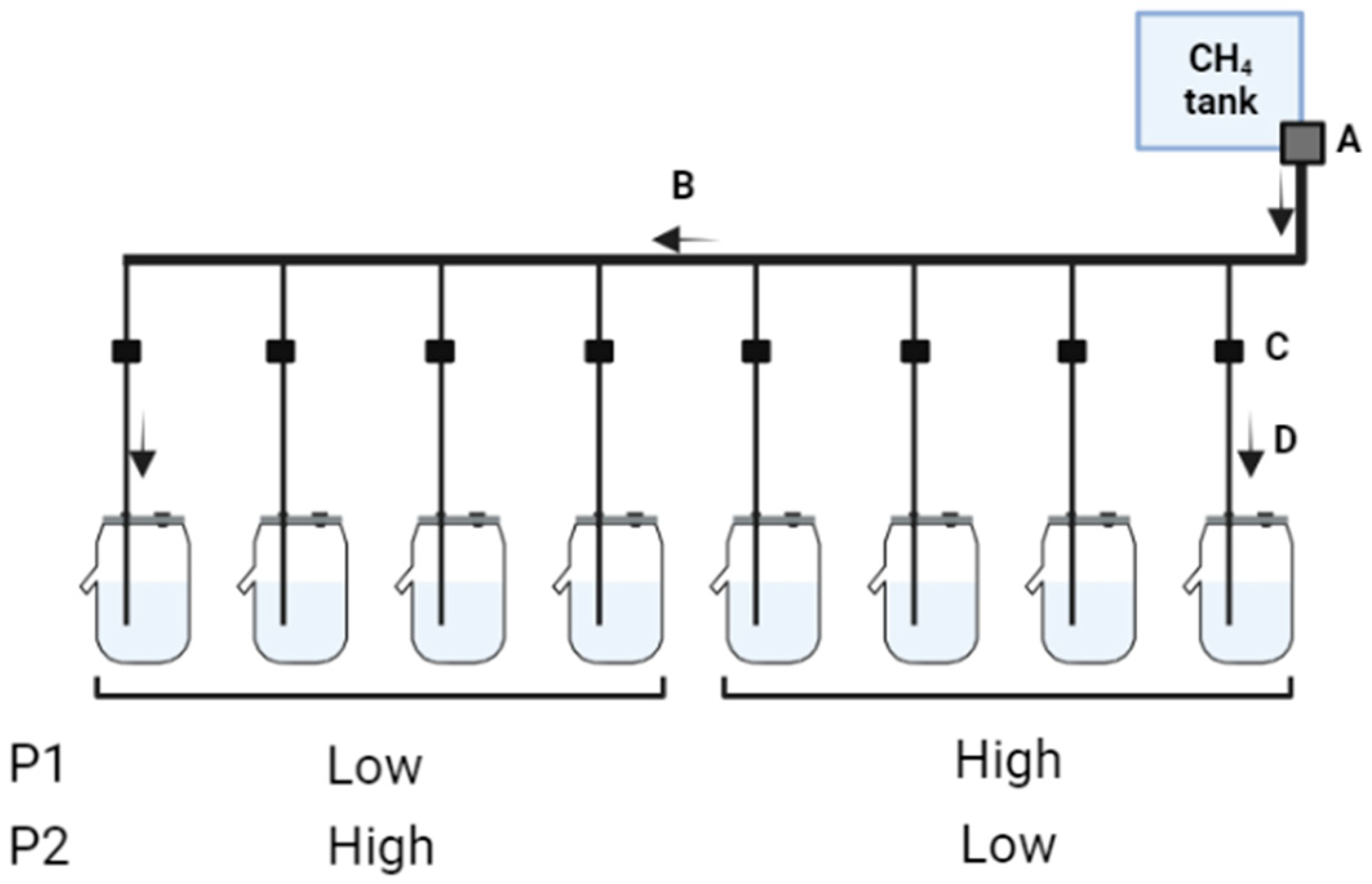 Fermentation 10 00394 g001