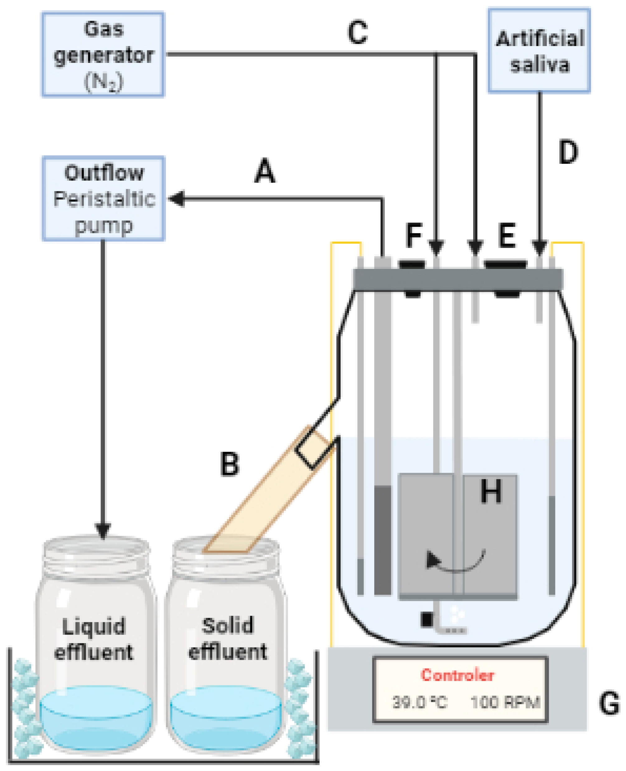 Fermentation 10 00394 g003