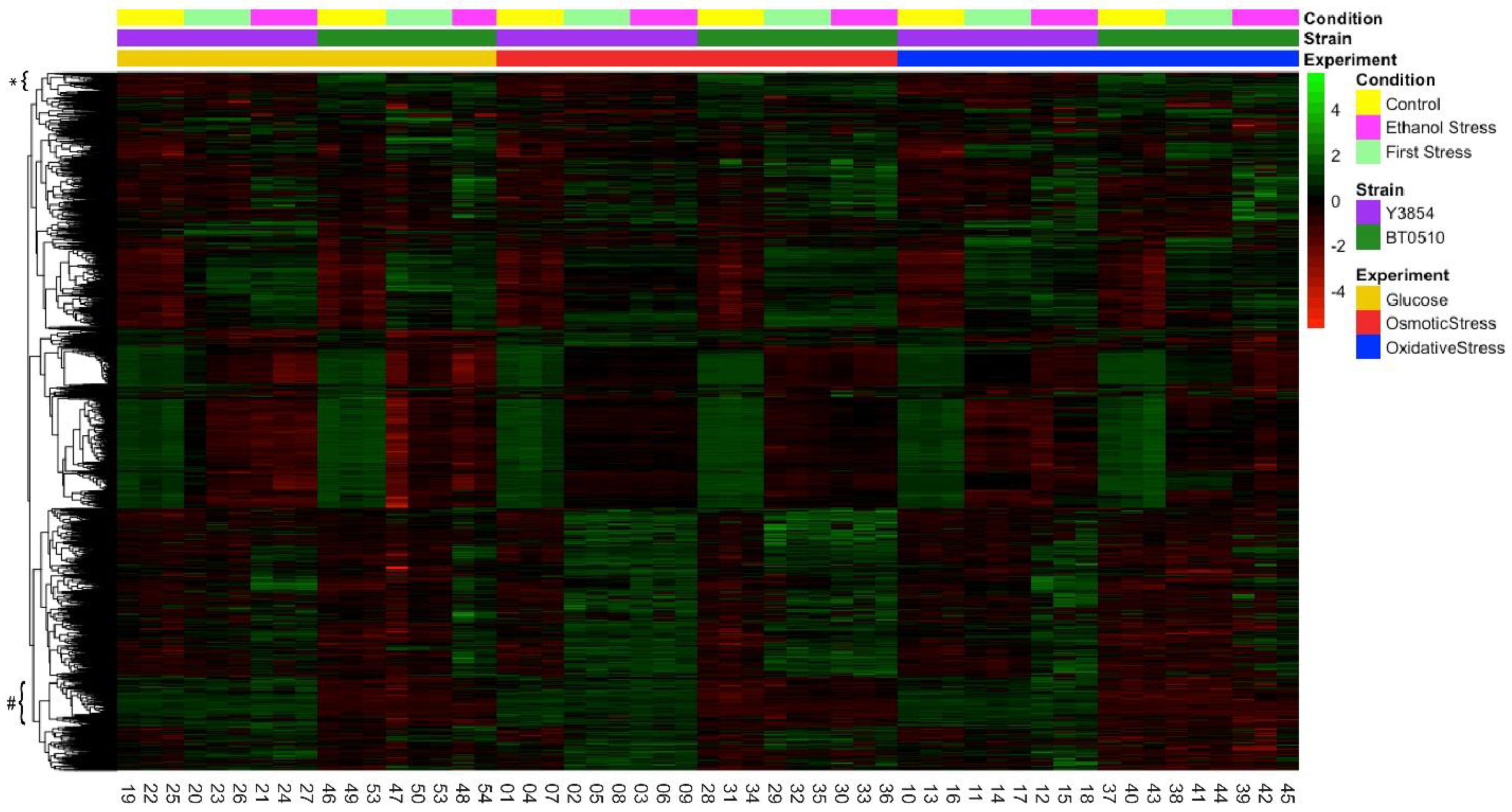 Fermentation 10 00395 g001