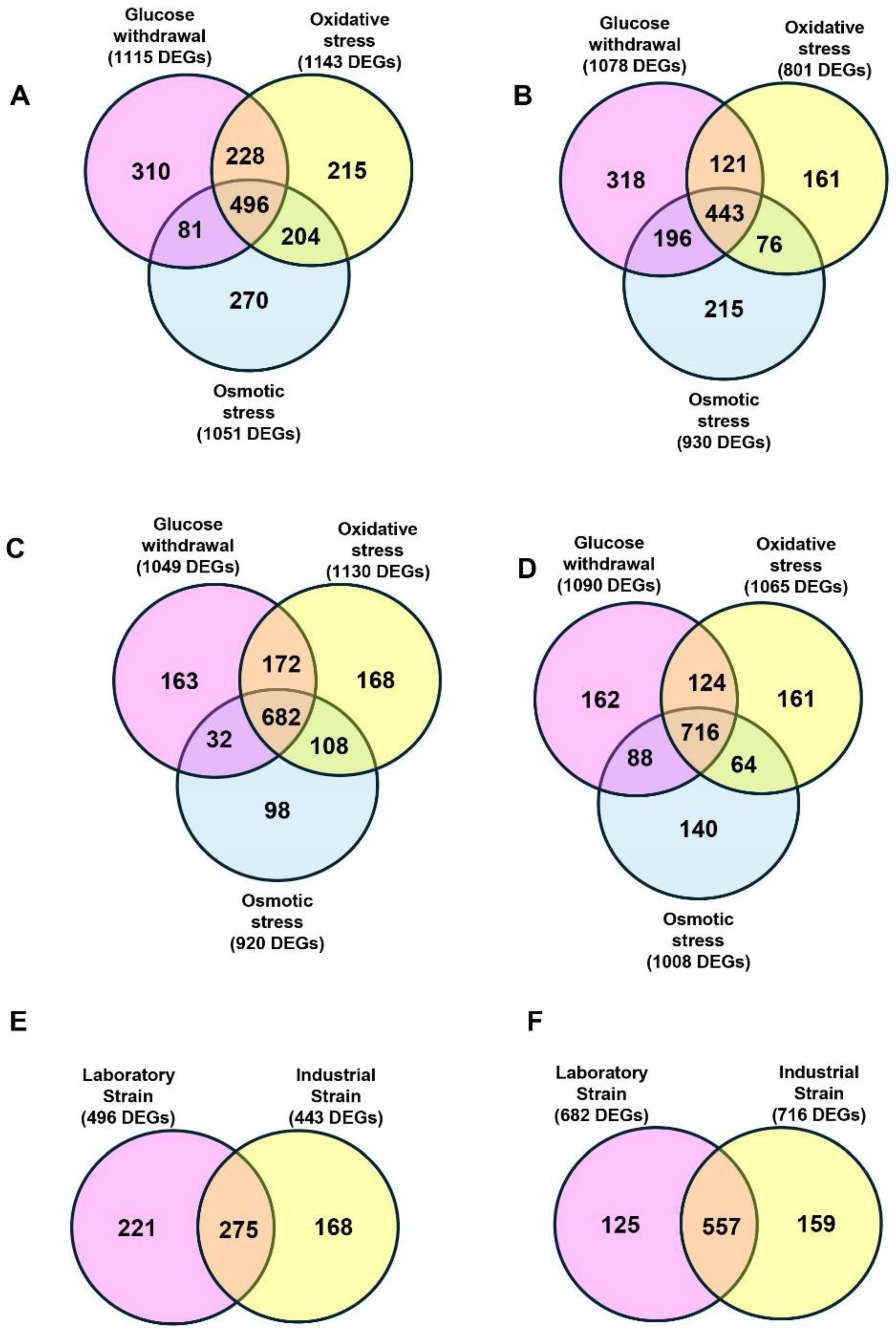 Fermentation 10 00395 g003