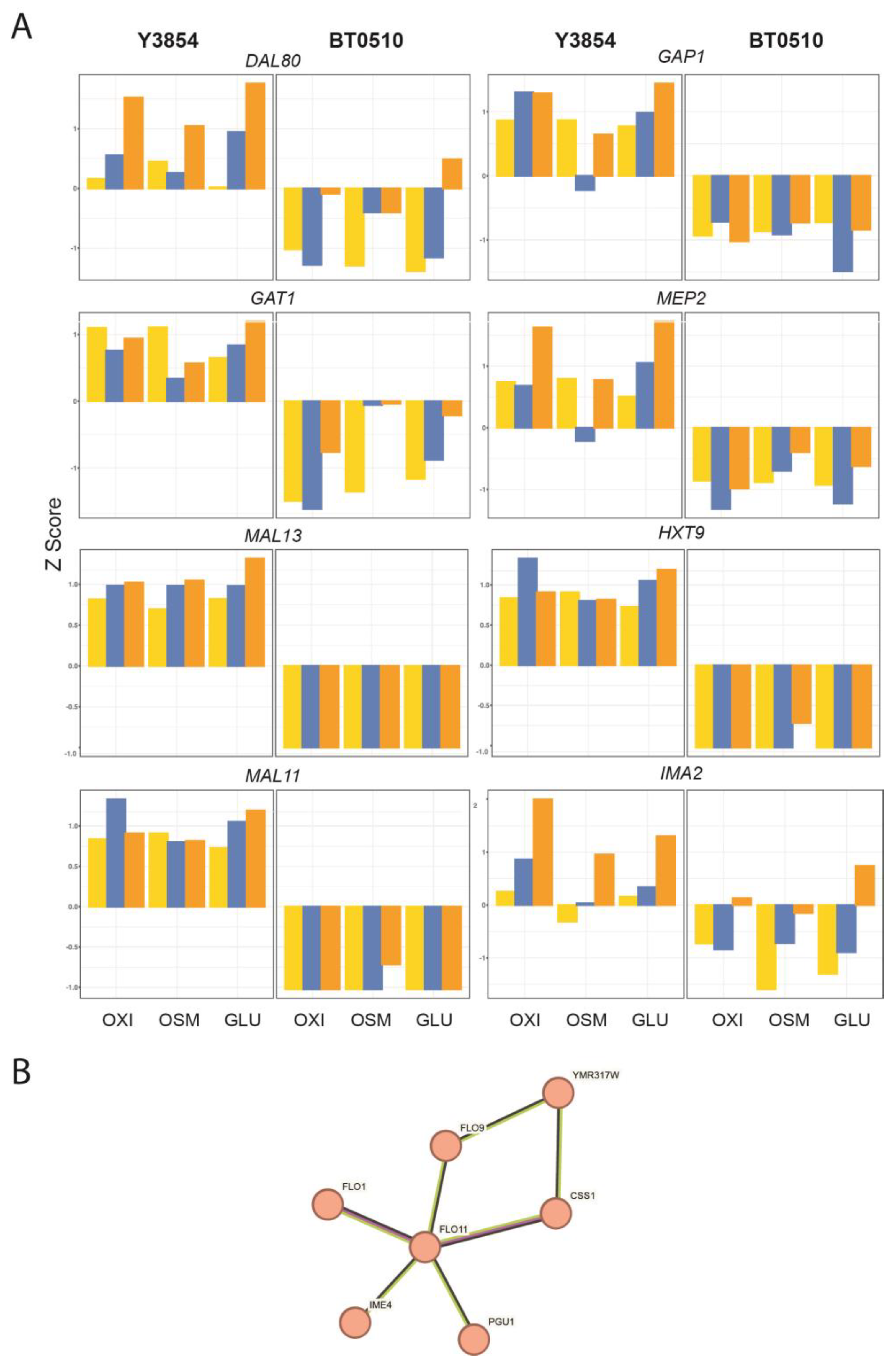 Fermentation 10 00395 g004