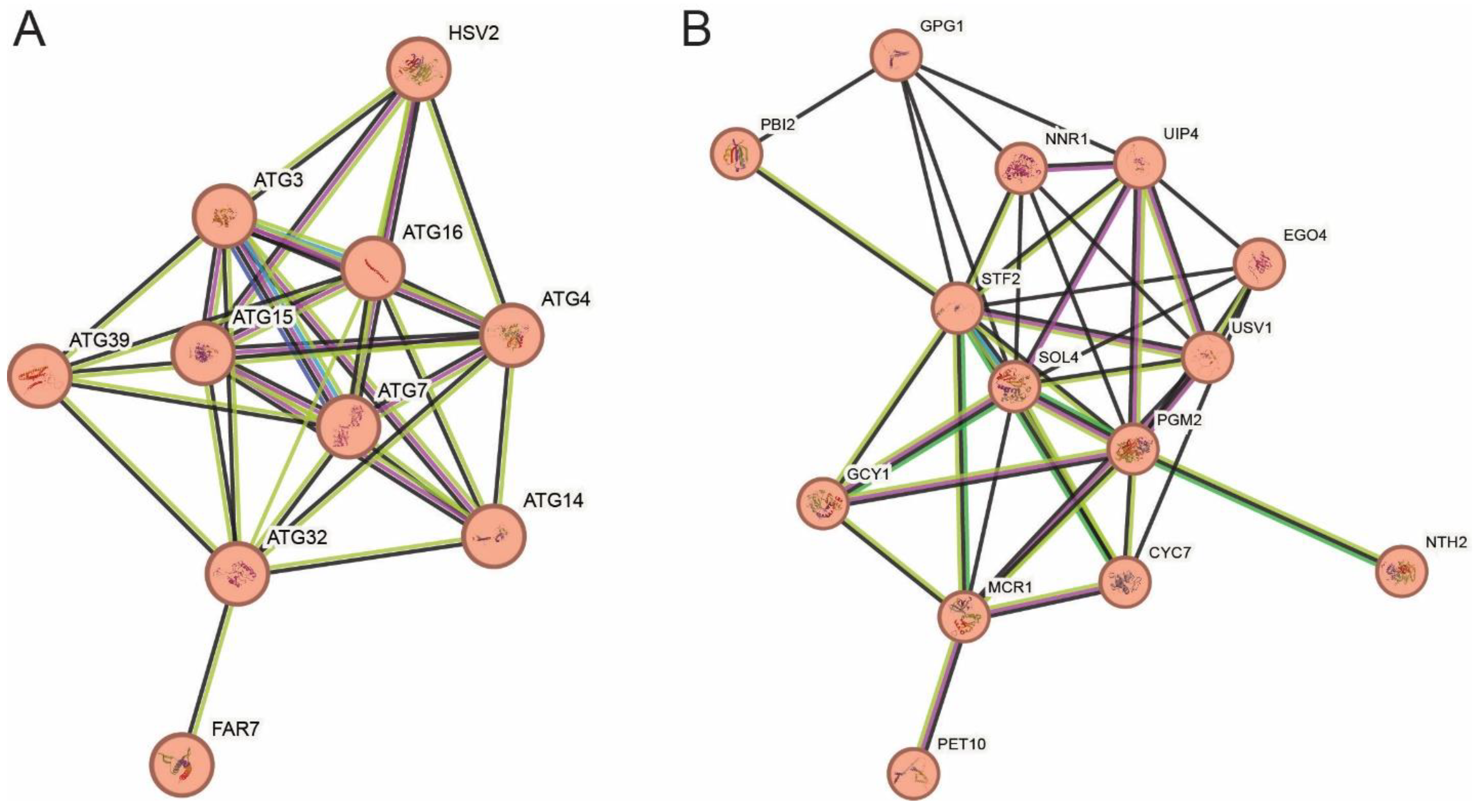 Fermentation 10 00395 g005
