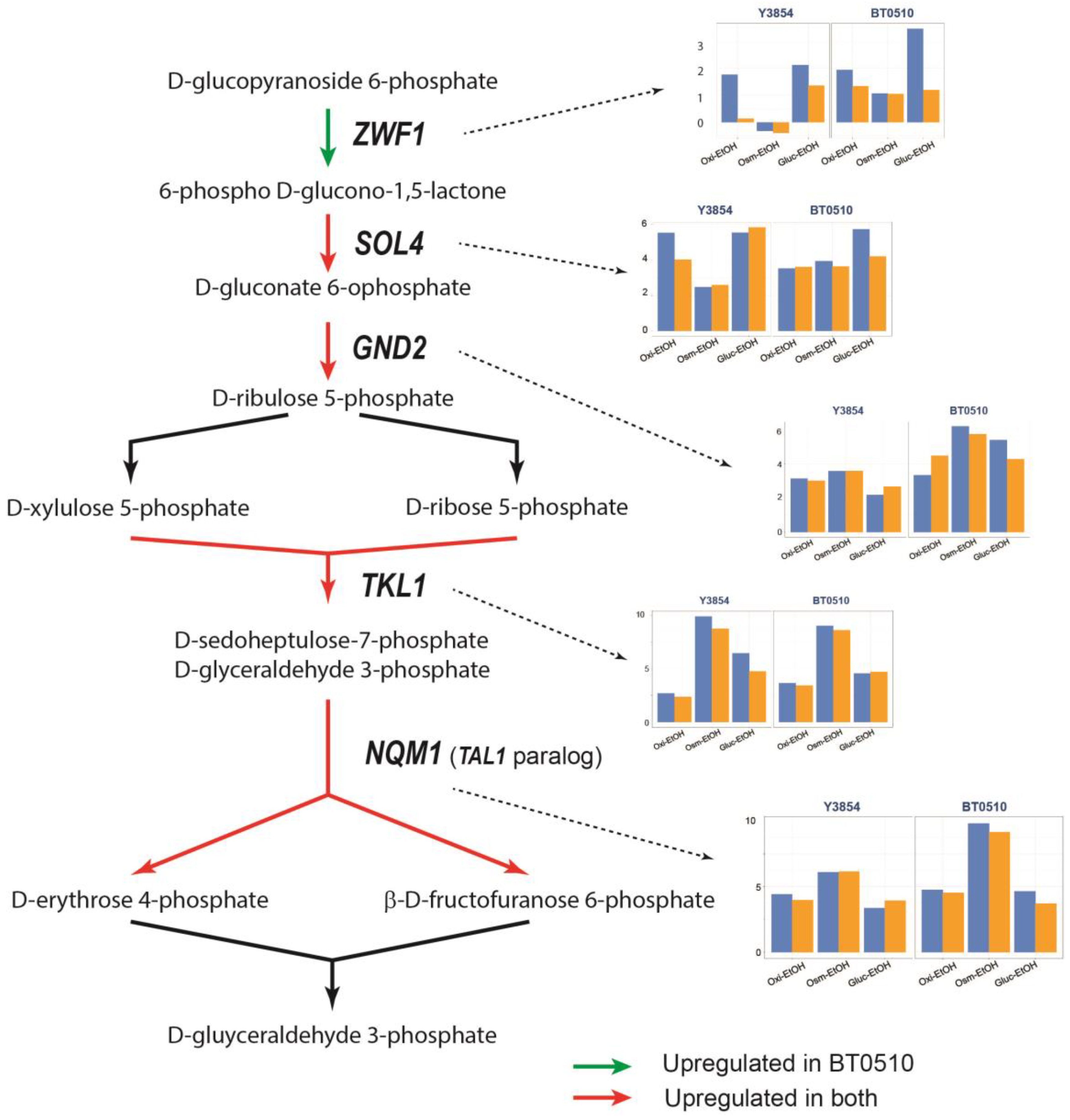 Fermentation 10 00395 g006
