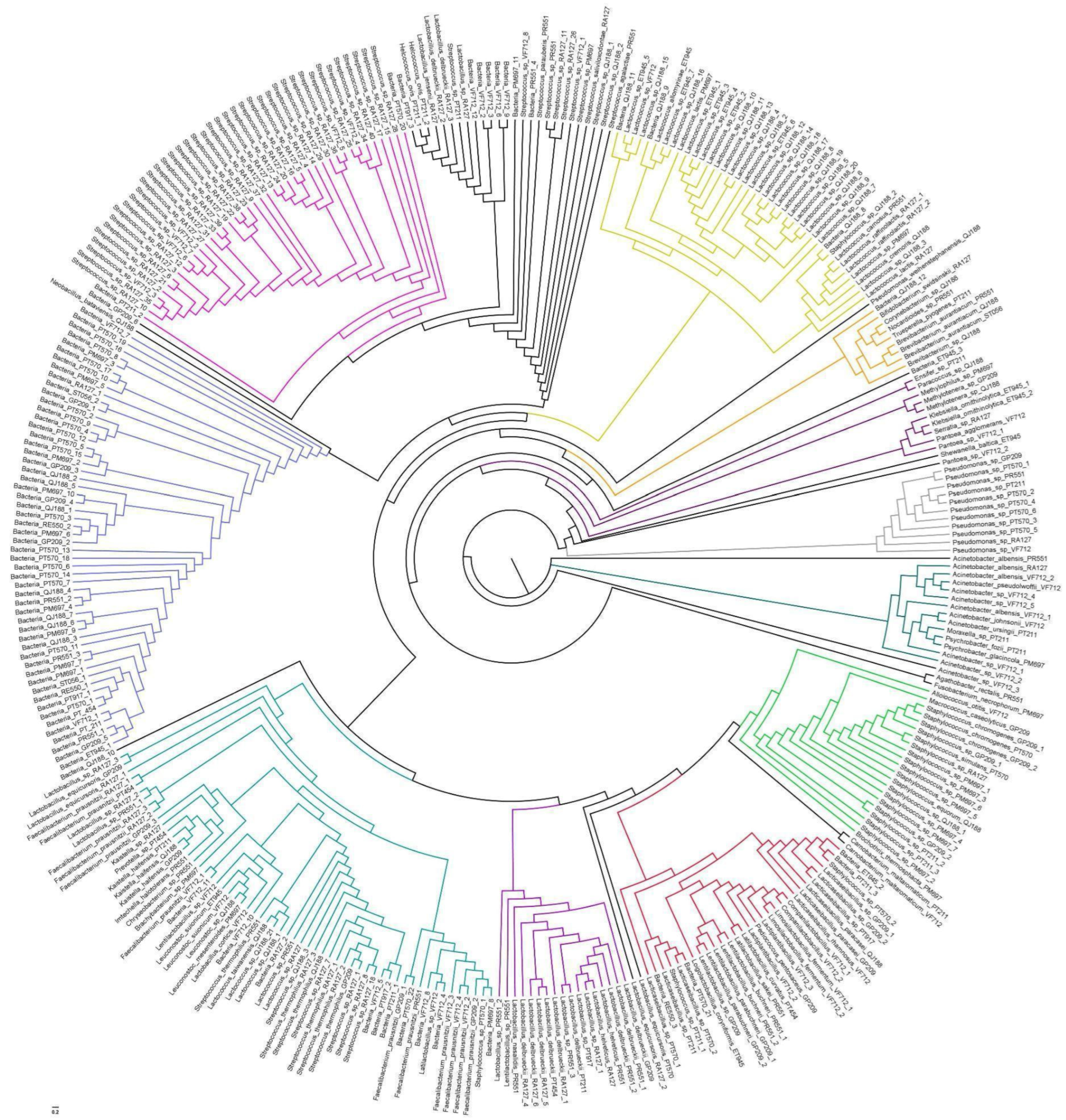 Fermentation 10 00397 g003