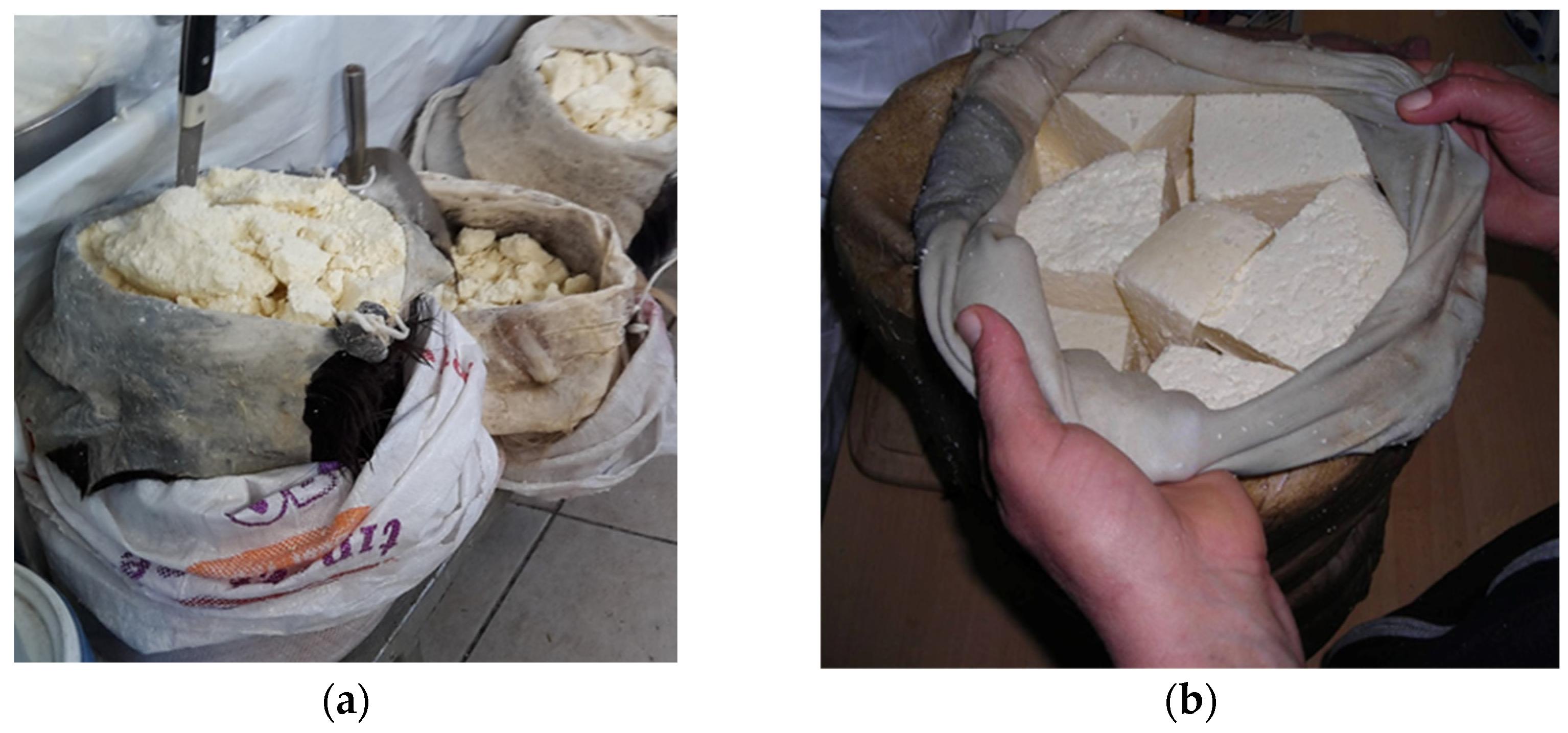 Fermentation 10 00404 g005 Fermentation 10 00404 g005