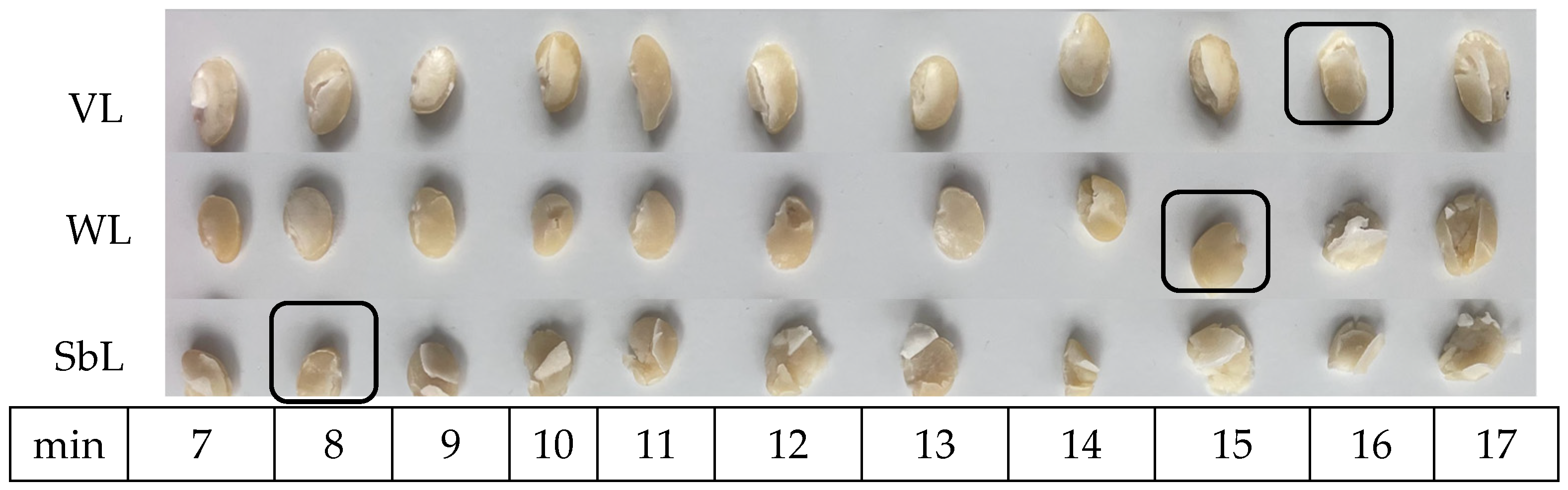 Fermentation 10 00407 g003