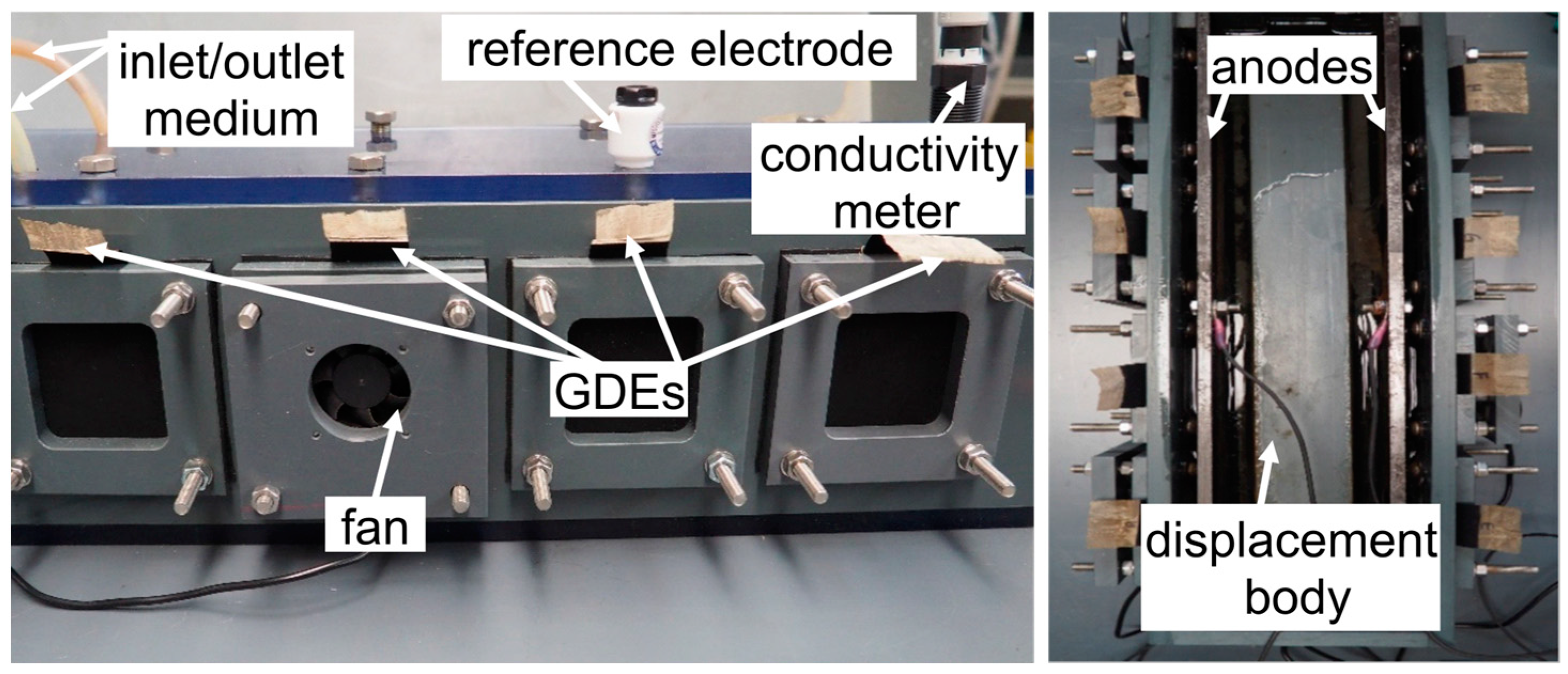 Fermentation 10 00408 g001
