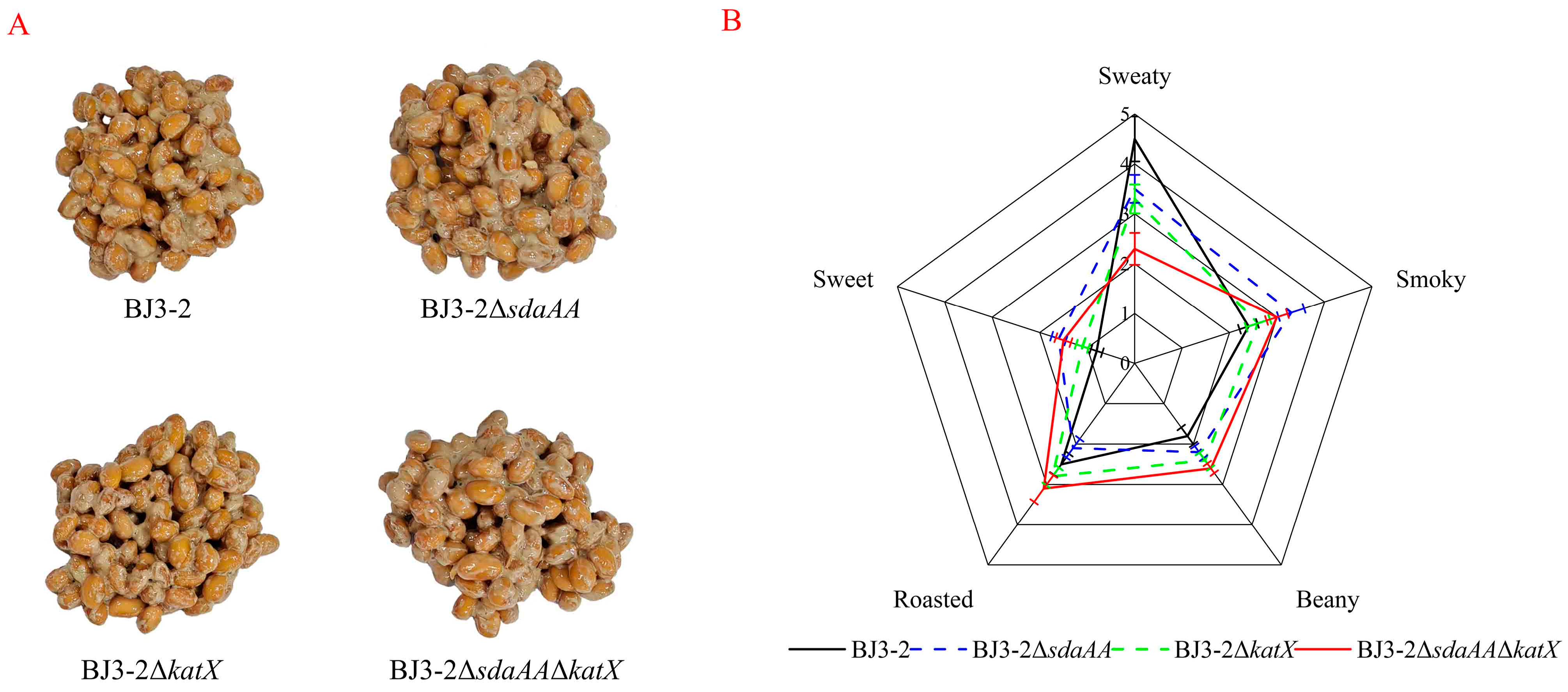 Fermentation 10 00409 g003