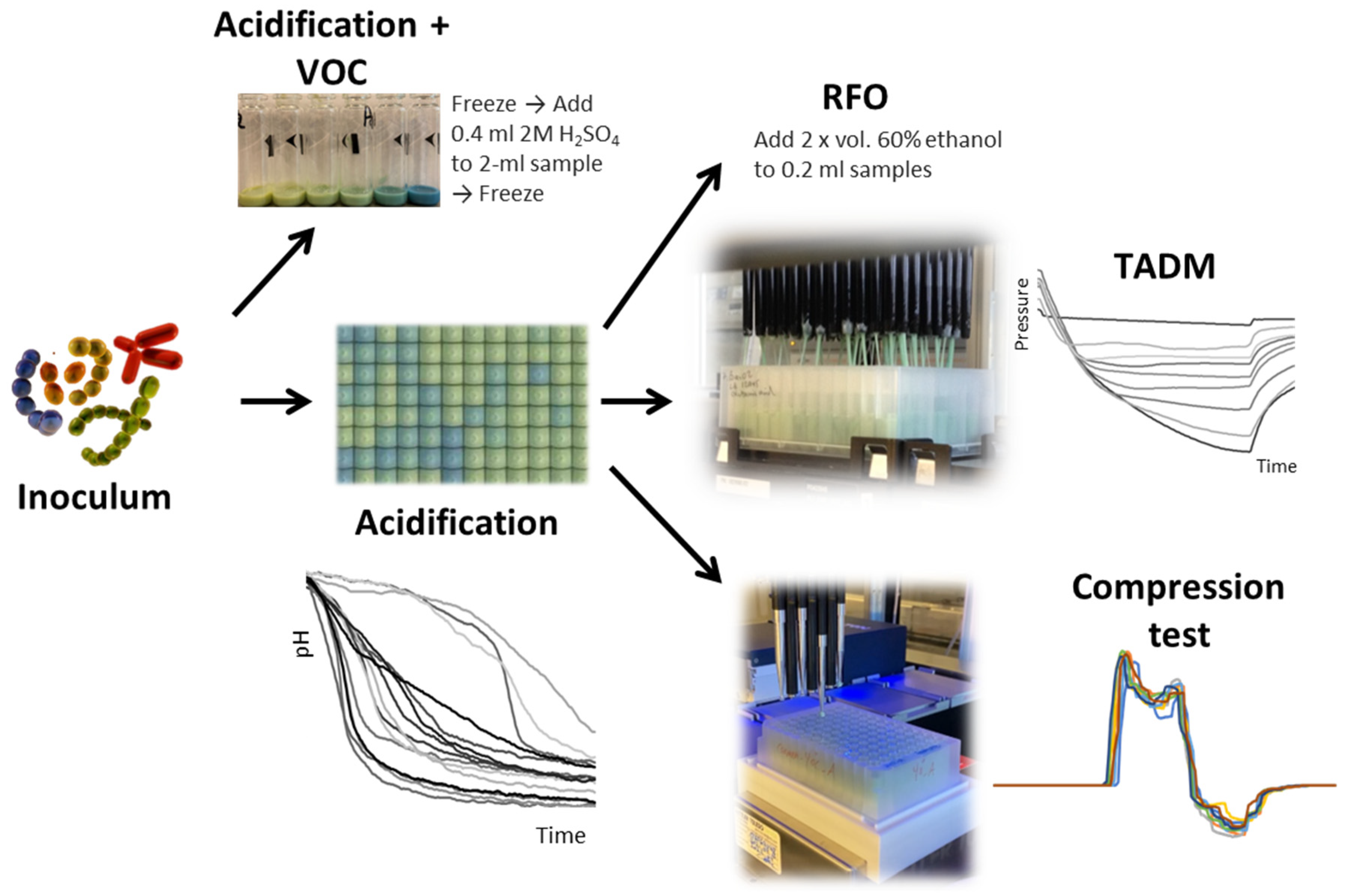 Fermentation 10 00411 g001