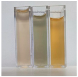 Fermentation 10 00415 i001