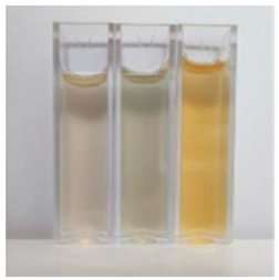 Fermentation 10 00415 i002