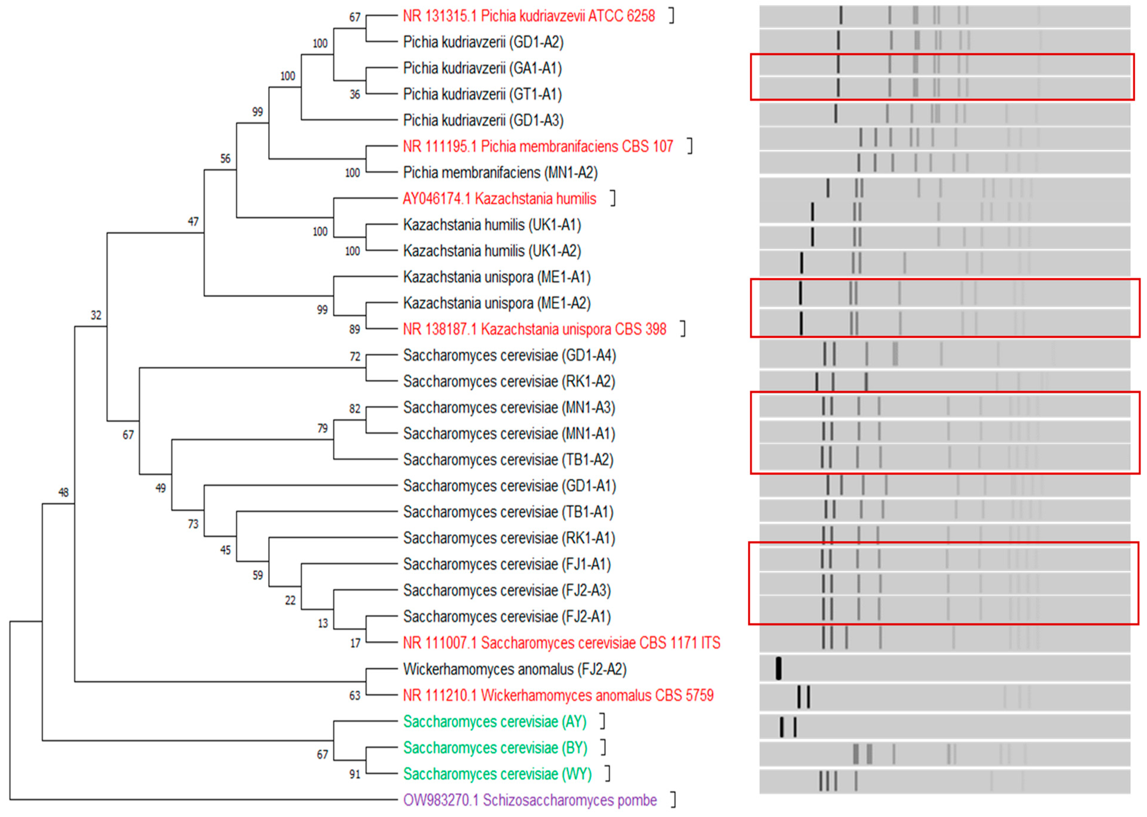 Fermentation 10 00417 g002