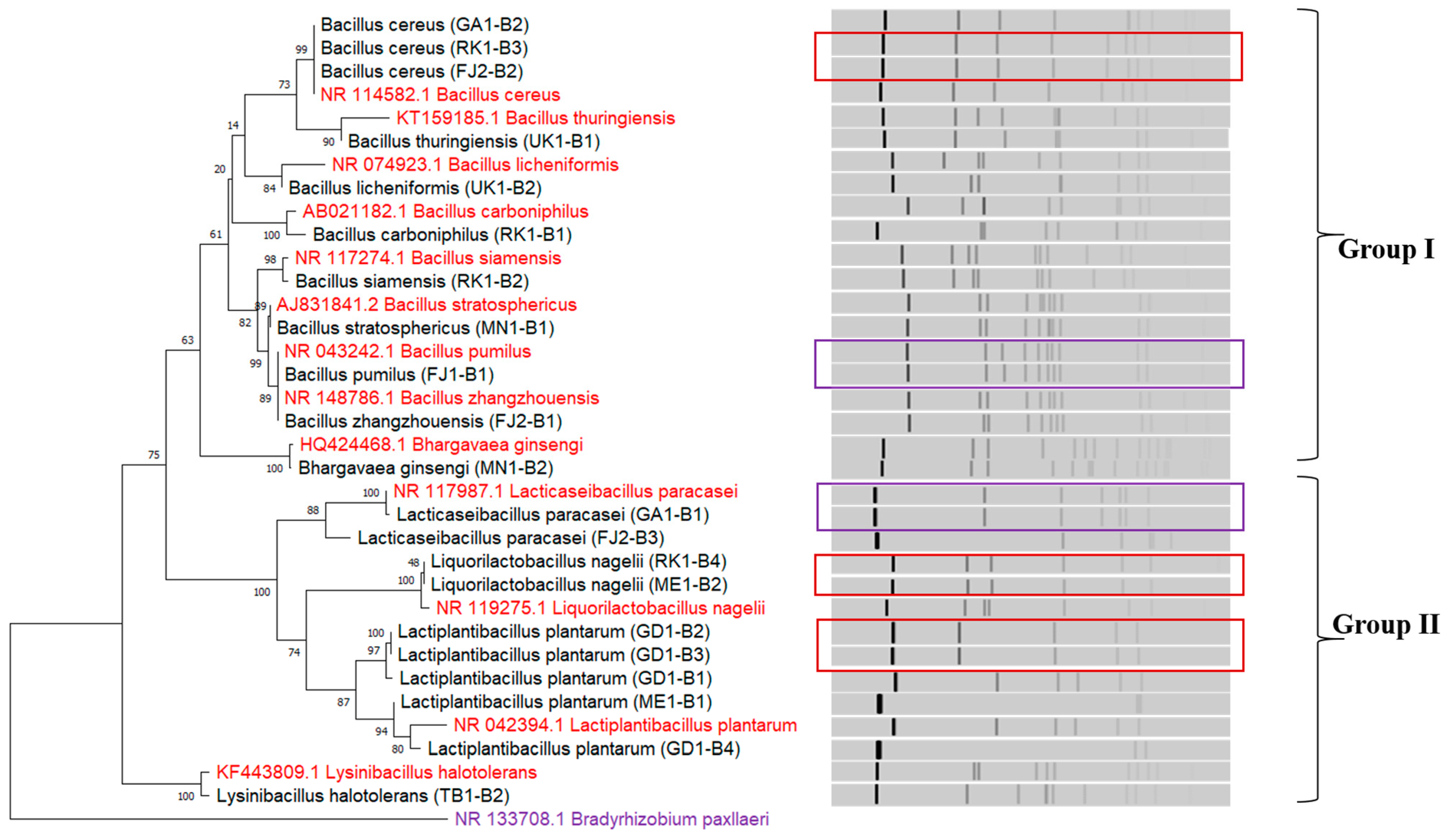 Fermentation 10 00417 g003