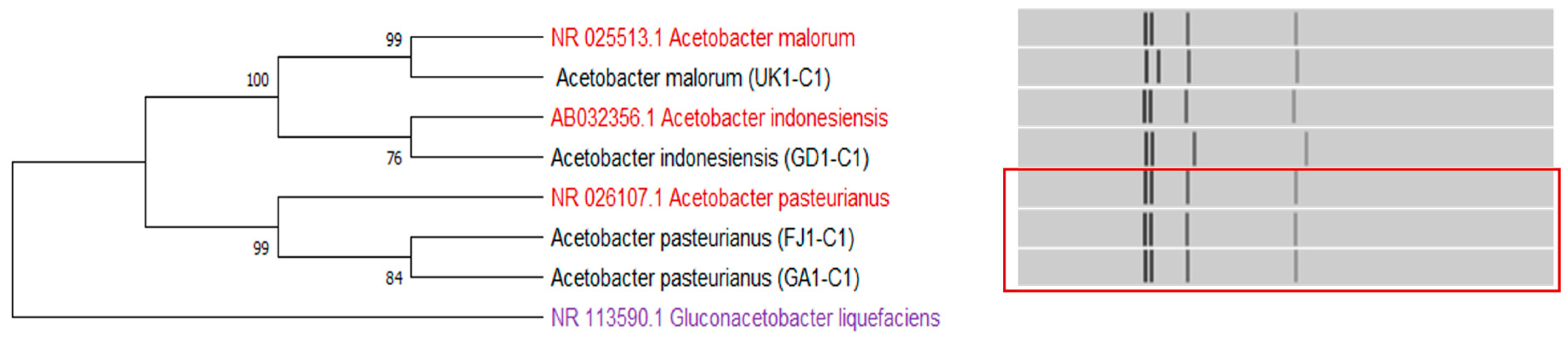 Fermentation 10 00417 g004