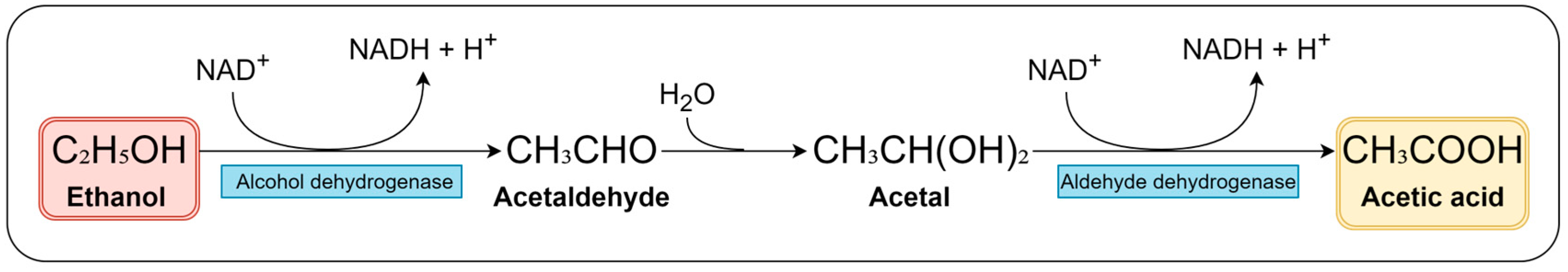 Fermentation 10 00421 g002