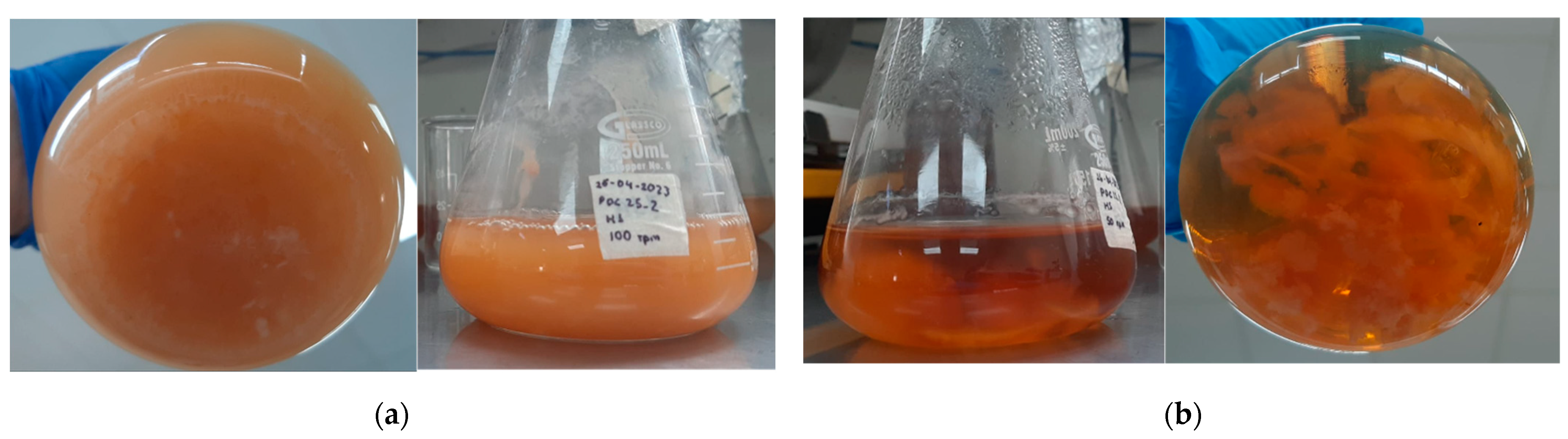 Fermentation 10 00425 g003