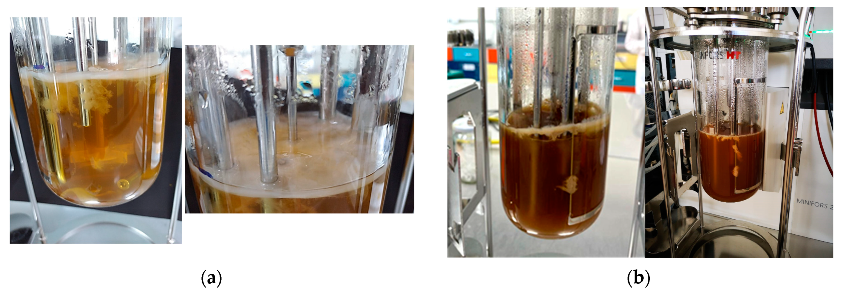 Fermentation 10 00425 g007