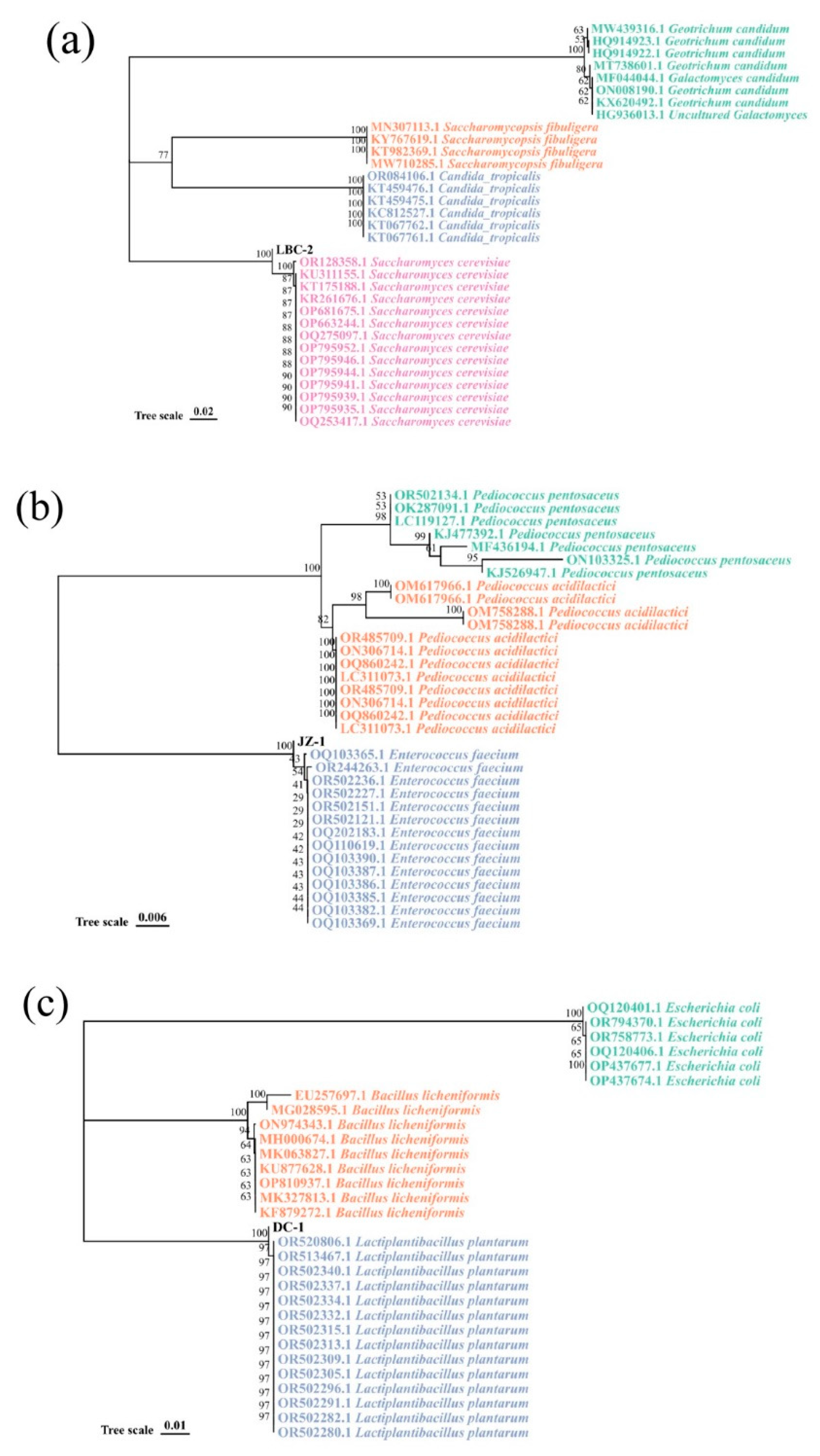 Fermentation 10 00429 g002