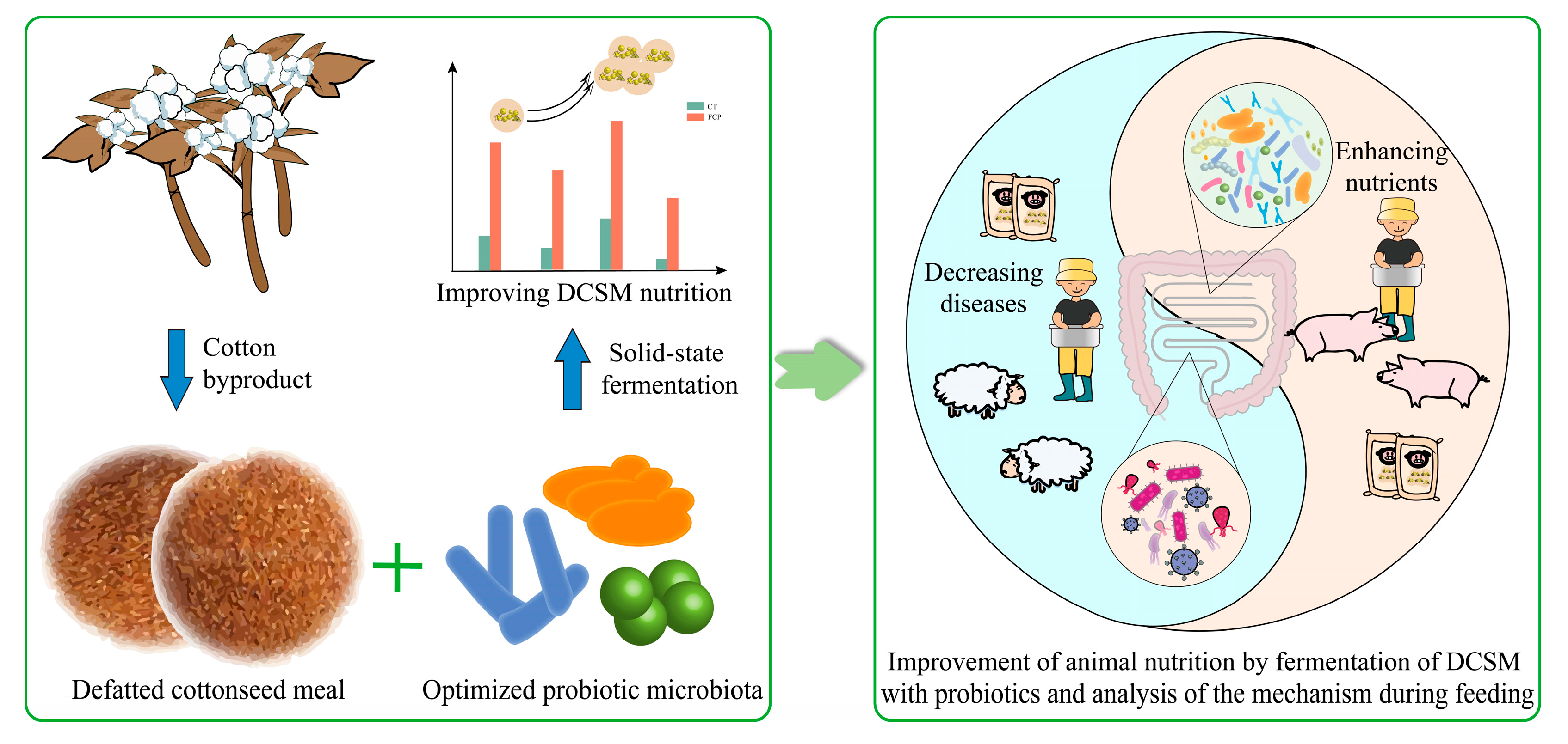 Fermentation 10 00429 g006