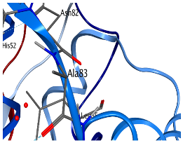 Fermentation 10 00433 i005
