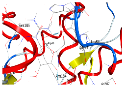Fermentation 10 00433 i008