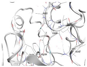 Fermentation 10 00433 i011
