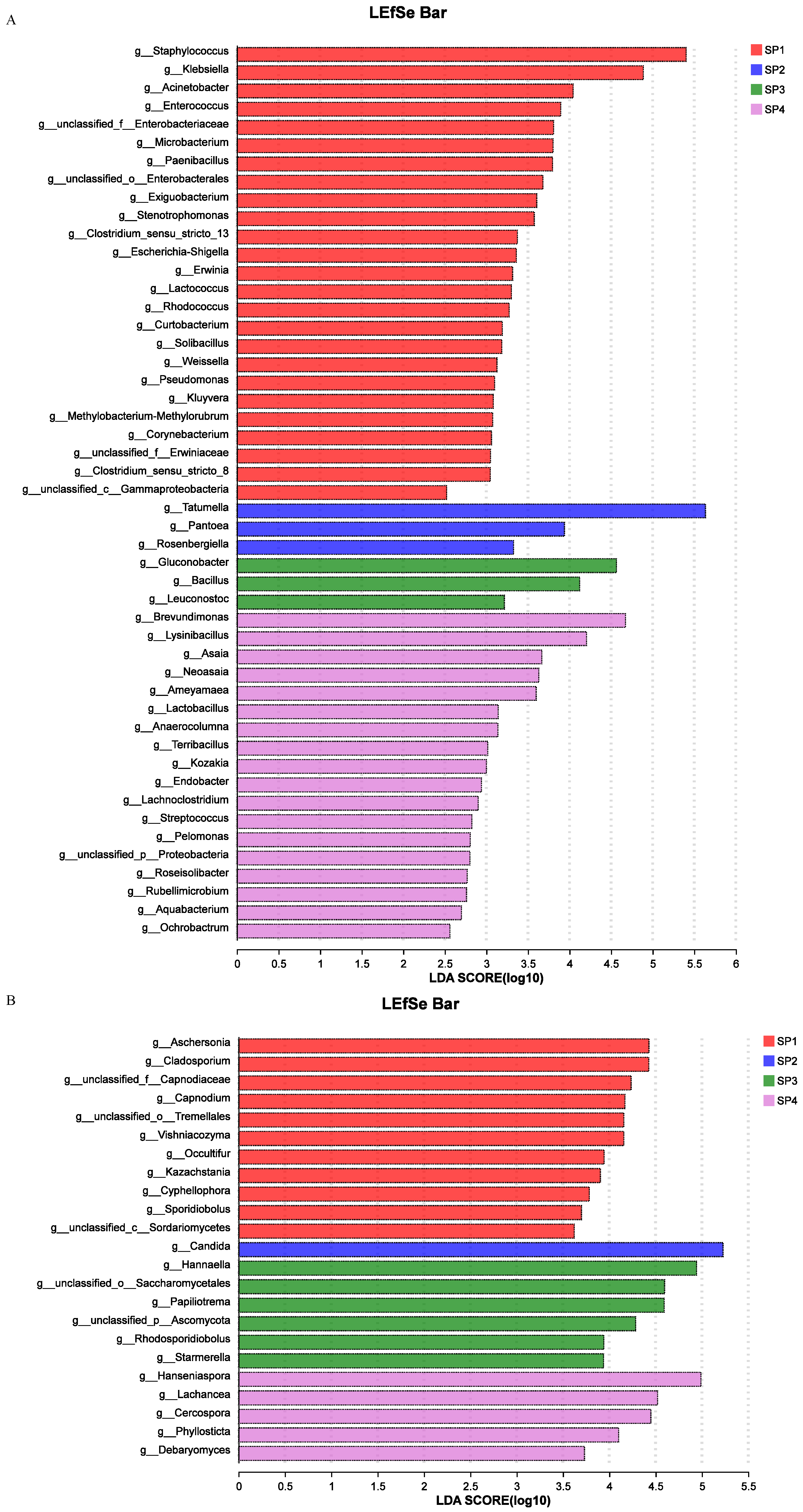 Fermentation 10 00435 g003