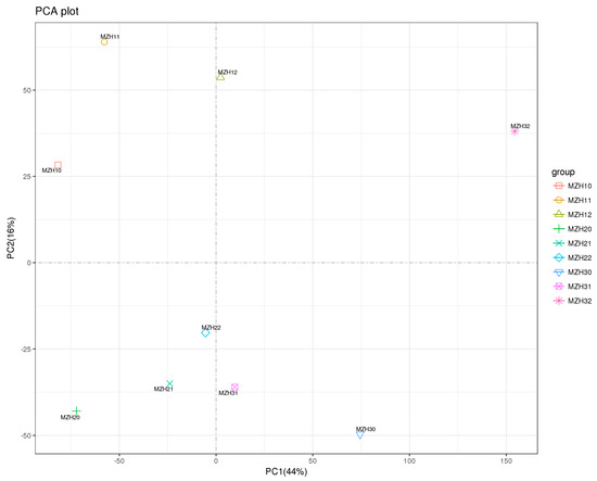 Transcriptional Profiling and Key Enzyme Activity of