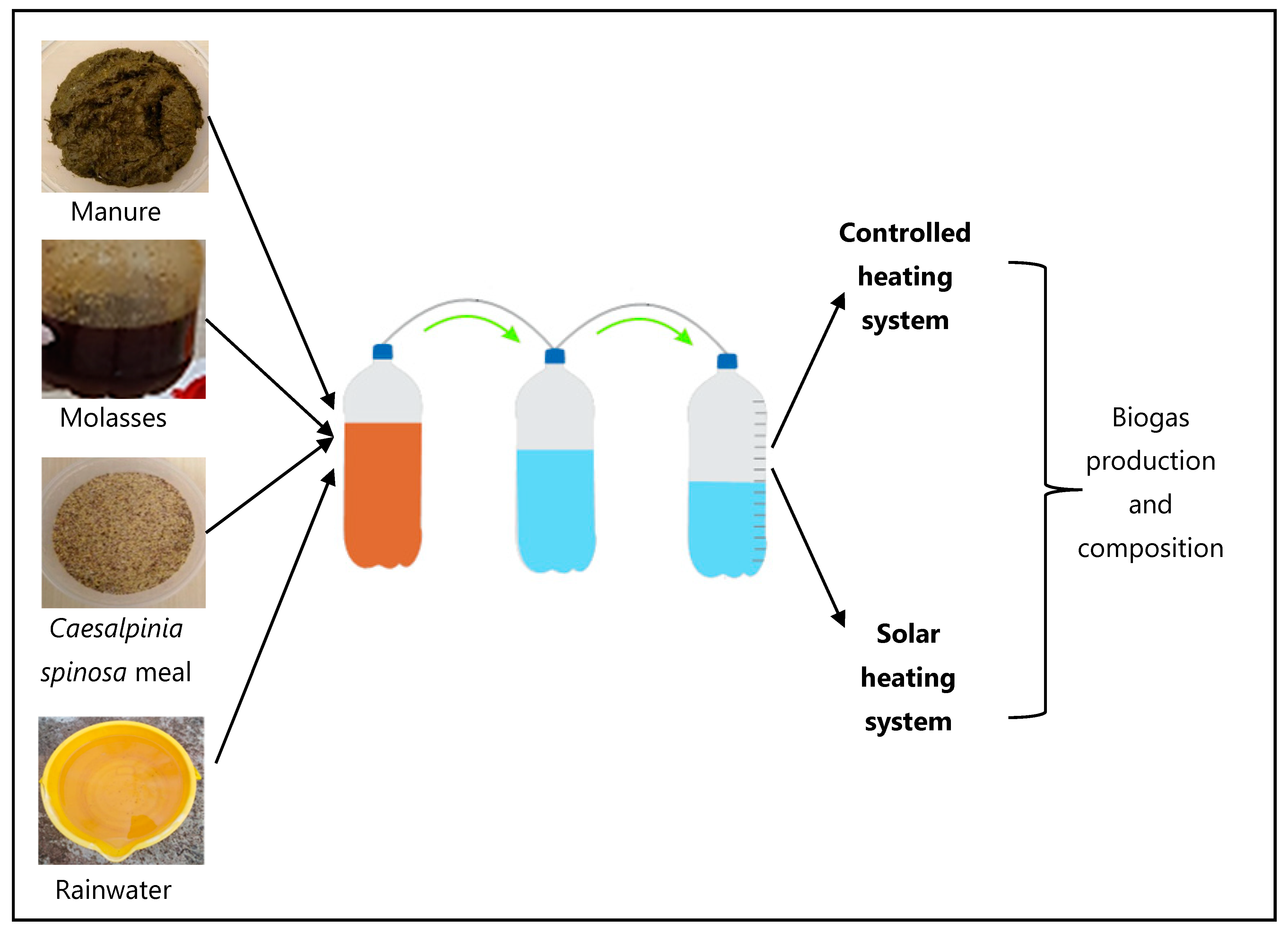 Fermentation 10 00452 g001