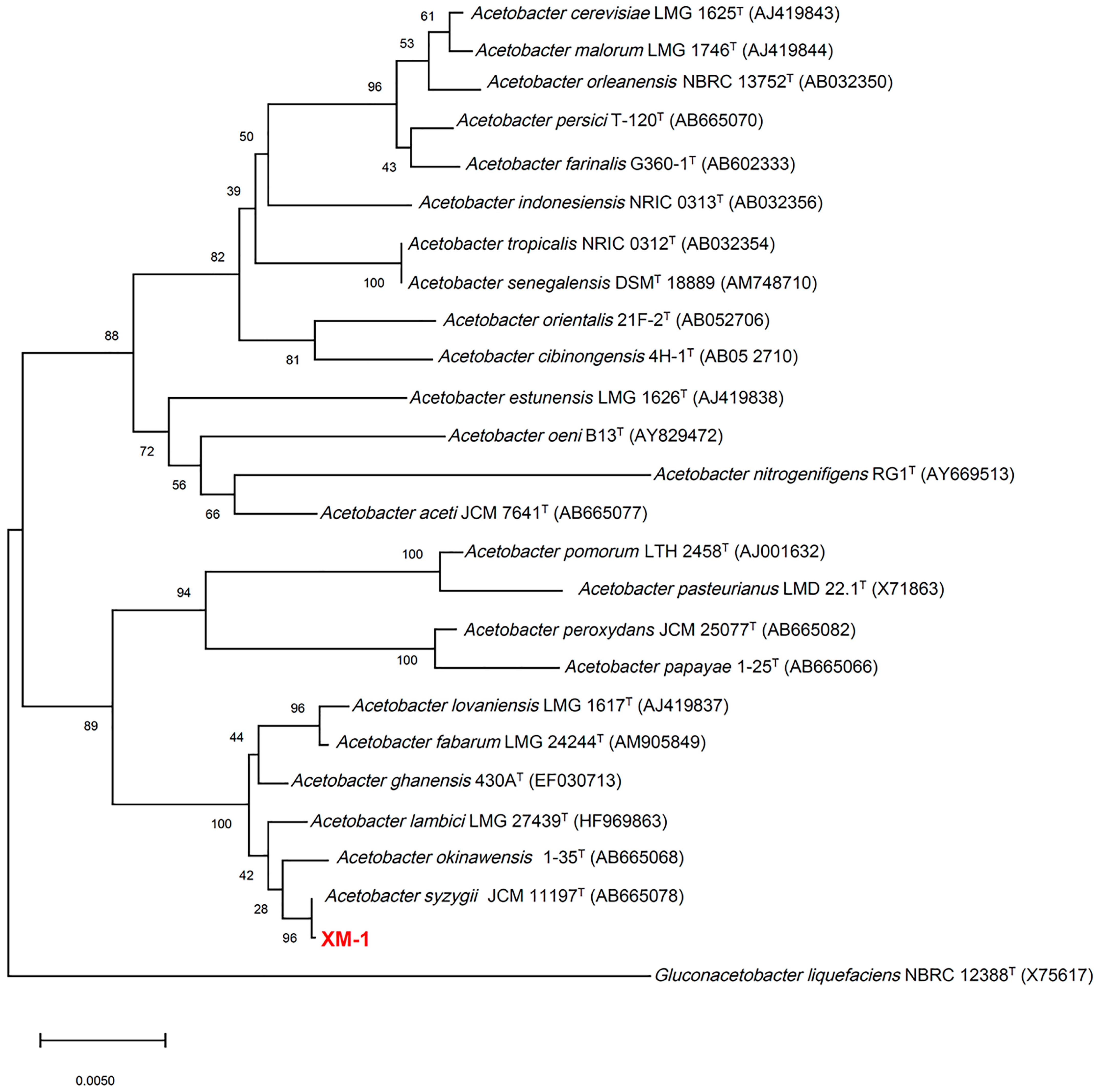 Fermentation 10 00459 g001 Fermentation 10 00459 g001