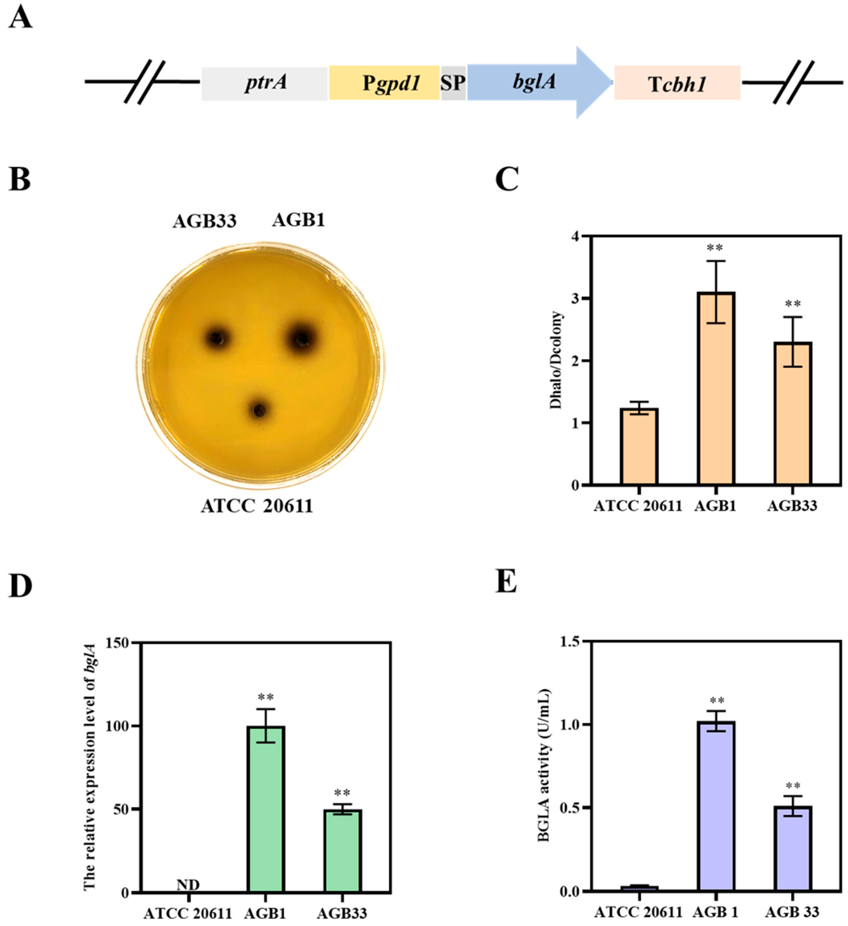 Fermentation 10 00461 g002