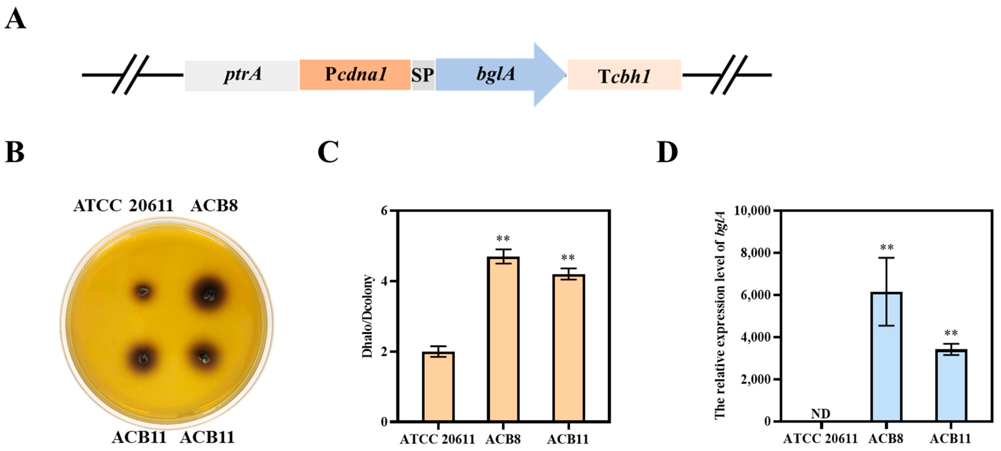 Fermentation 10 00461 g004