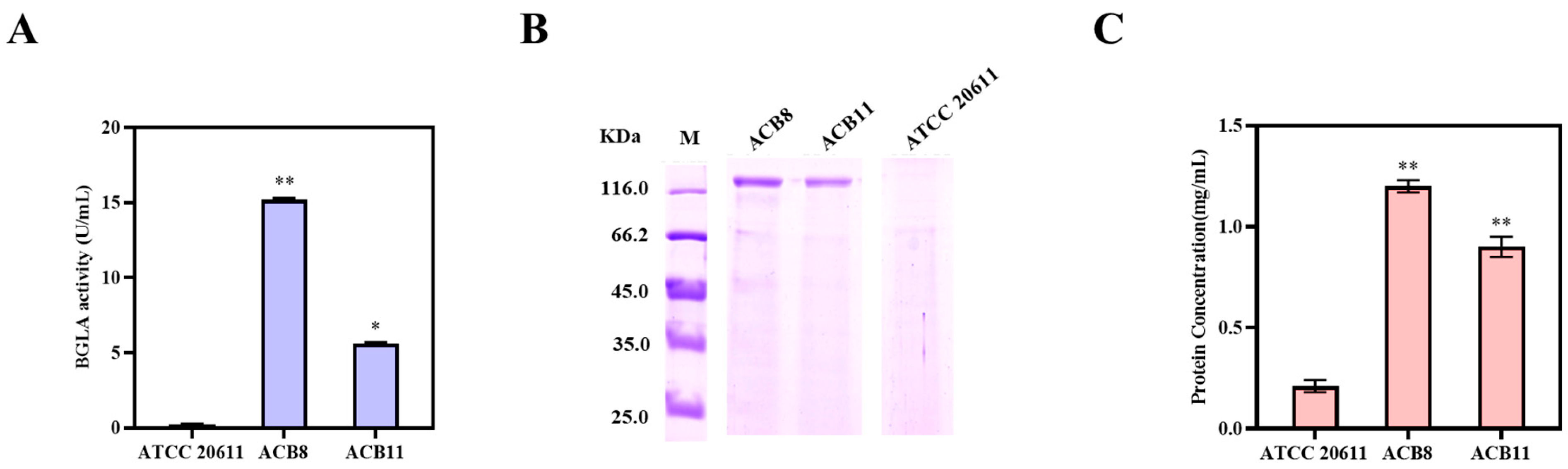 Fermentation 10 00461 g005