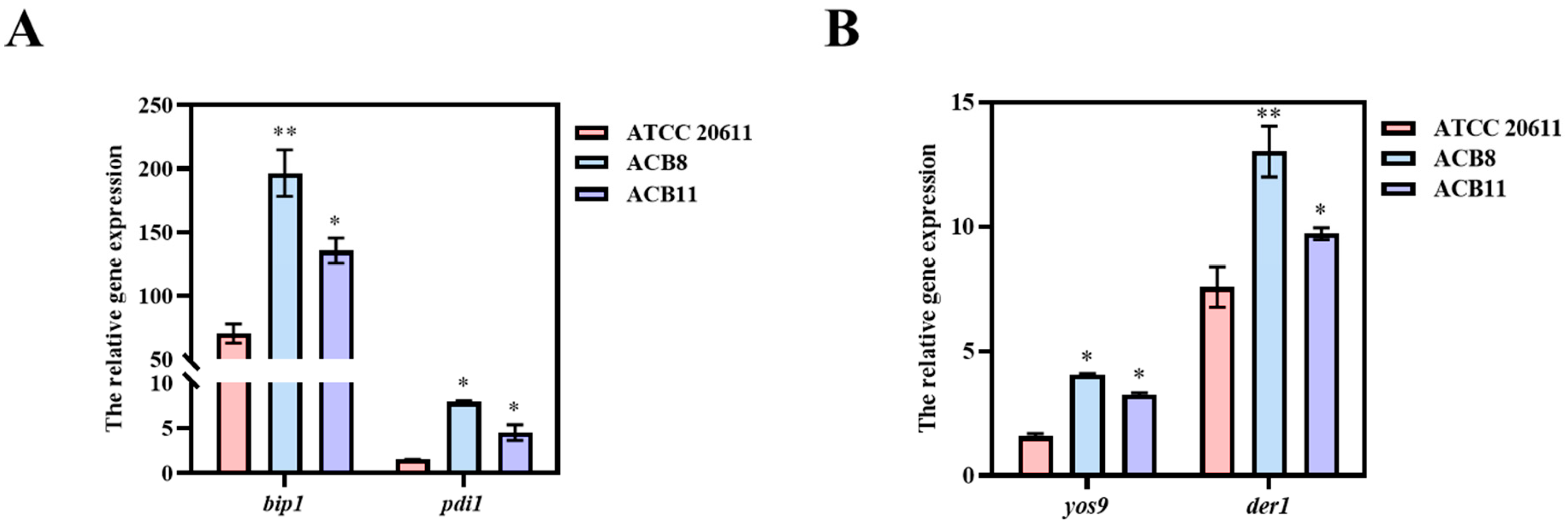 Fermentation 10 00461 g006