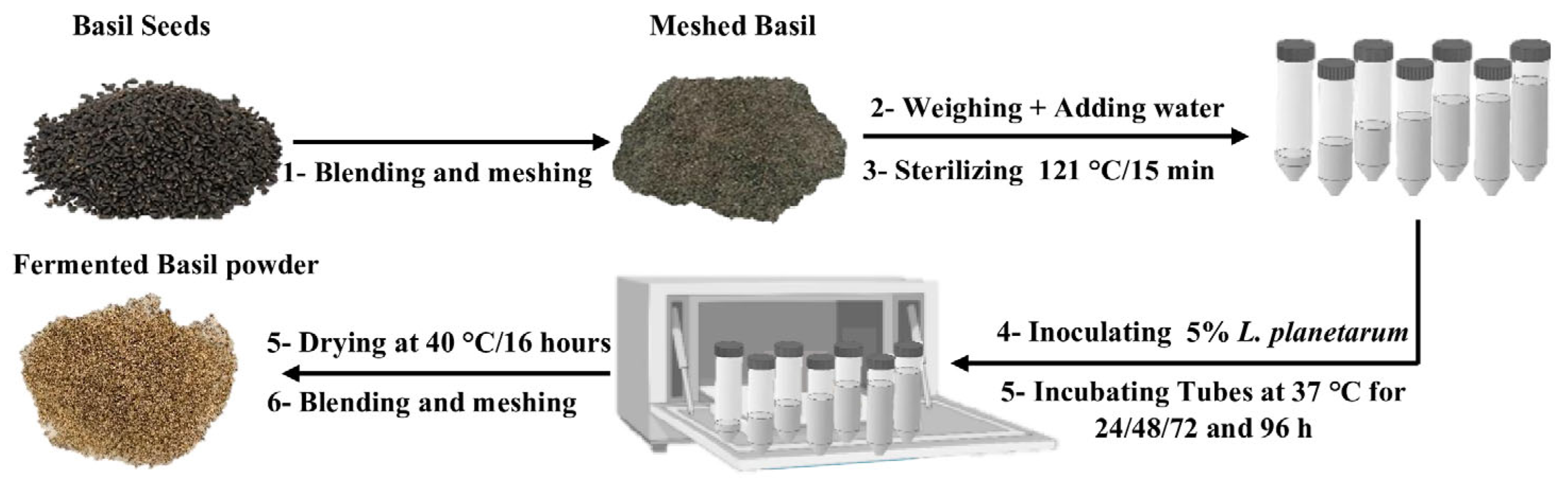 Fermentation 10 00467 g001