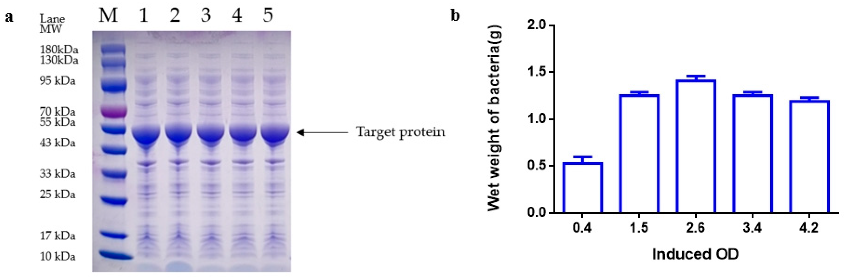 Fermentation 10 00468 g004
