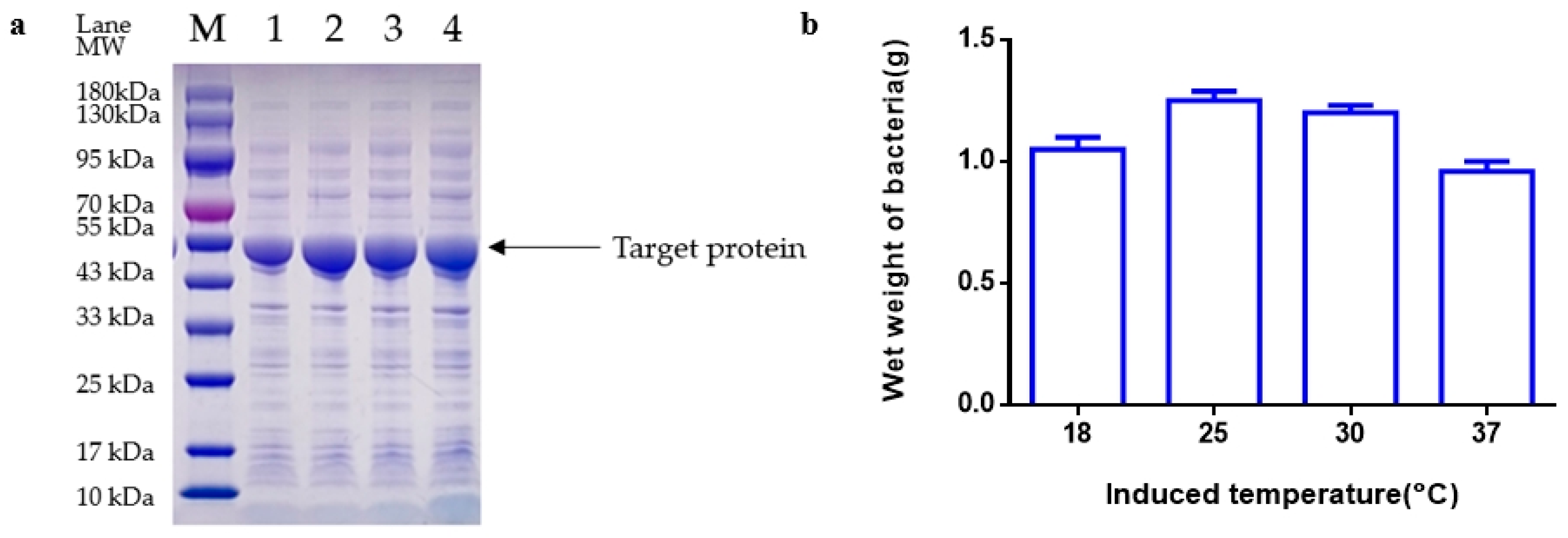 Fermentation 10 00468 g005