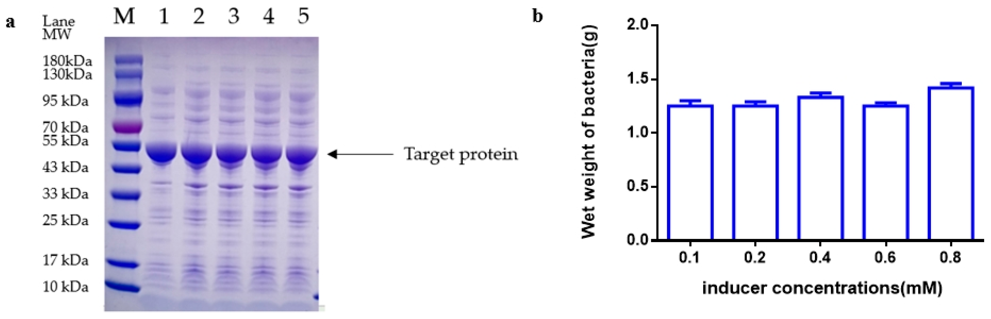 Fermentation 10 00468 g006