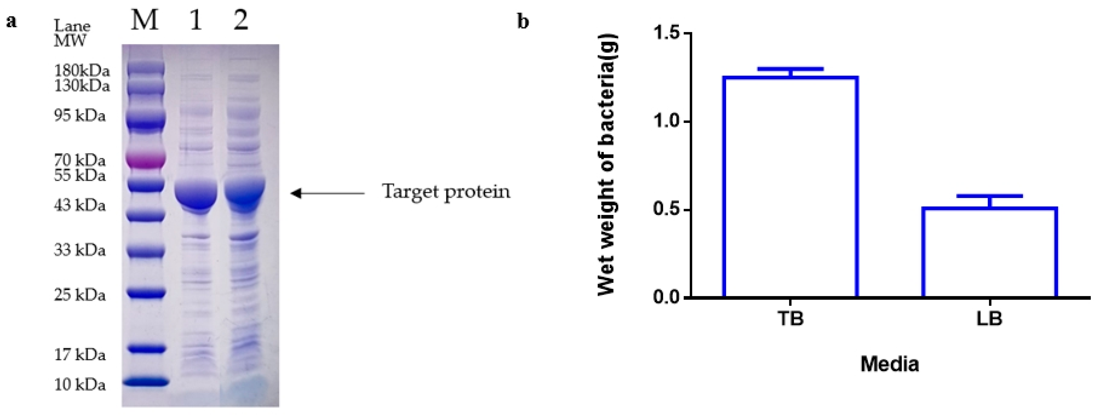 Fermentation 10 00468 g008