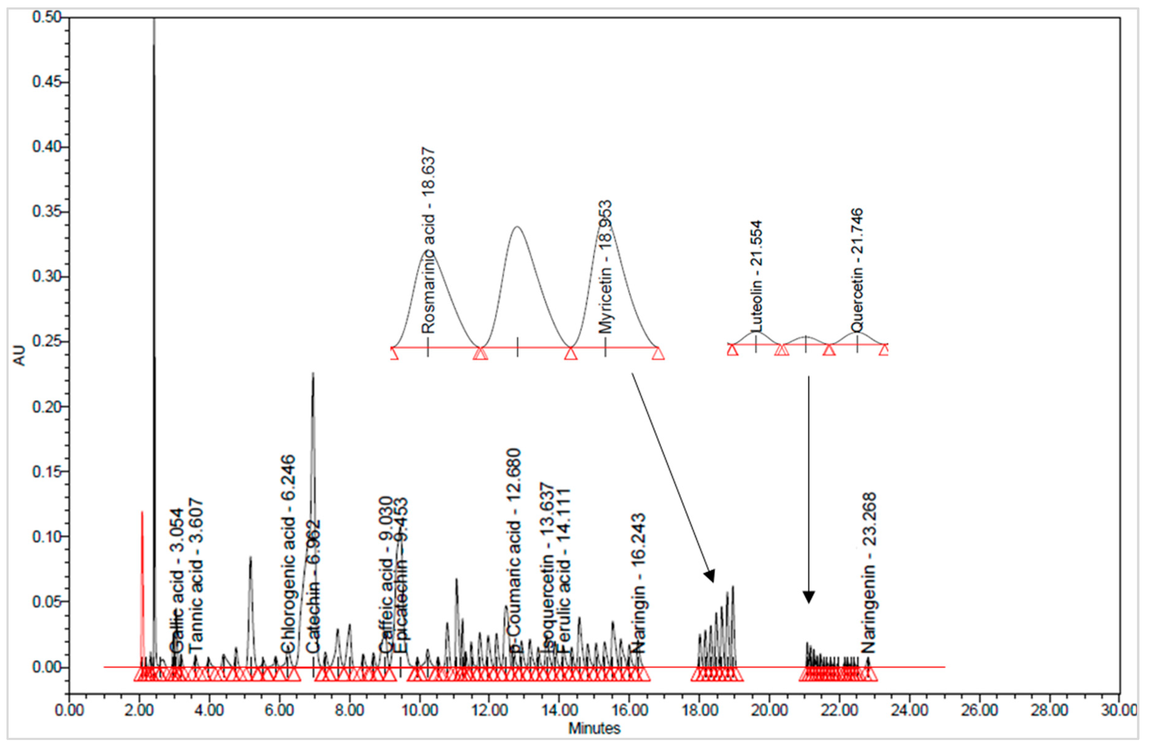 Fermentation 10 00470 g001