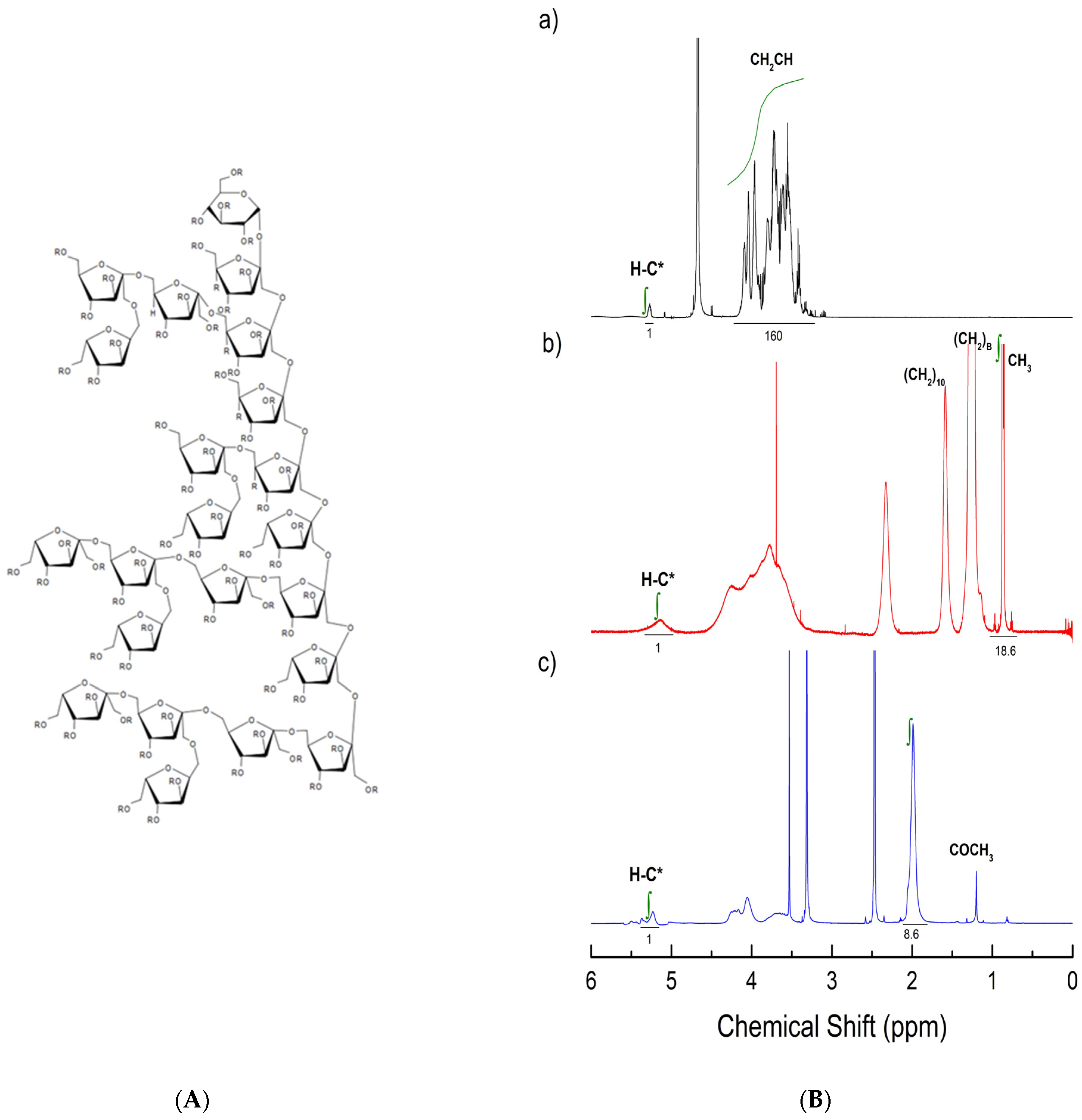 Fermentation 10 00478 g001