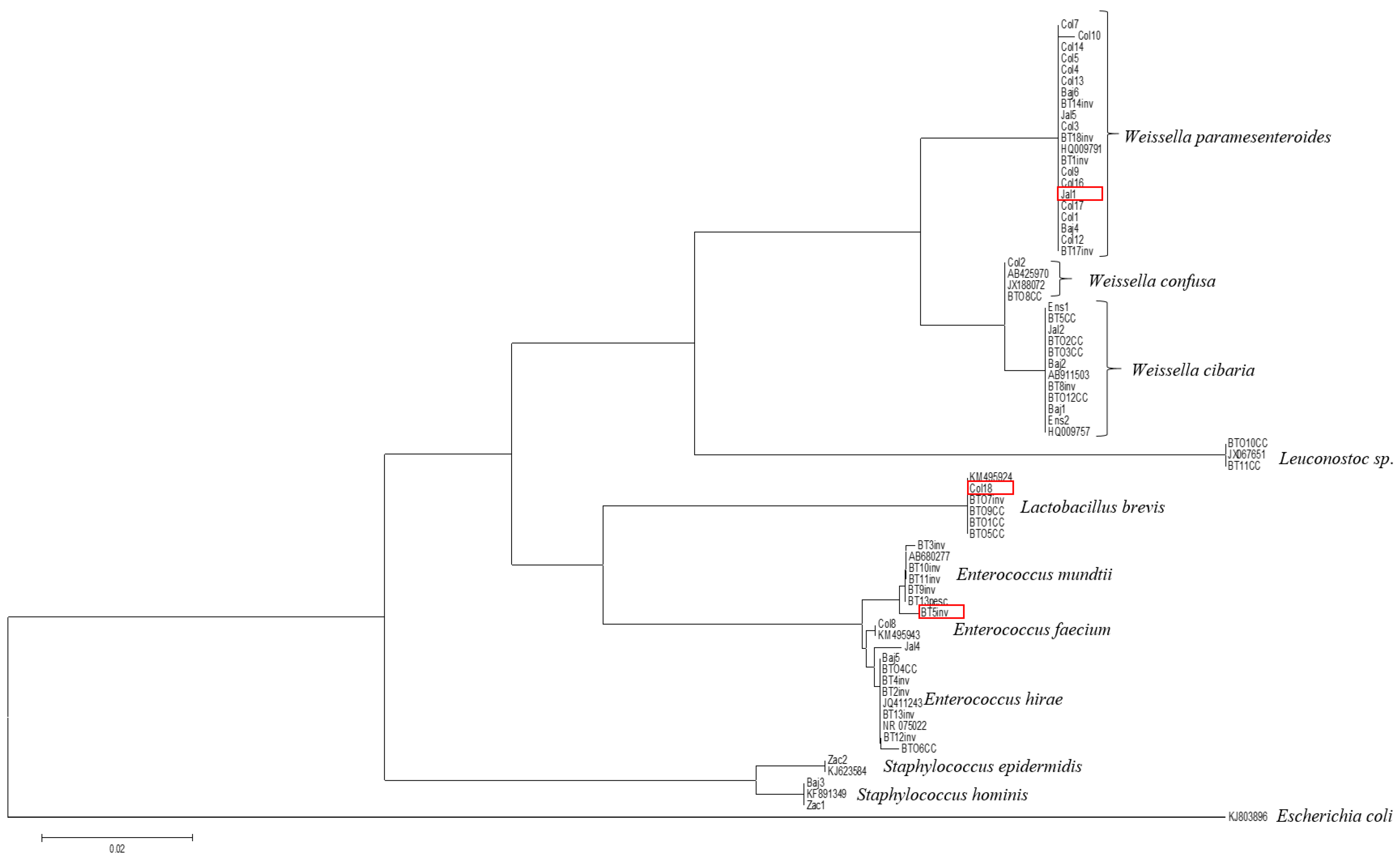 Fermentation 10 00478 sch001