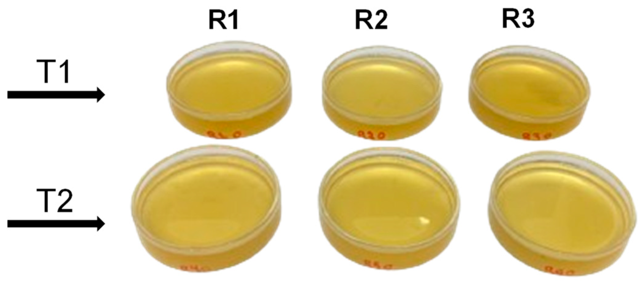 Fermentation 10 00482 g004