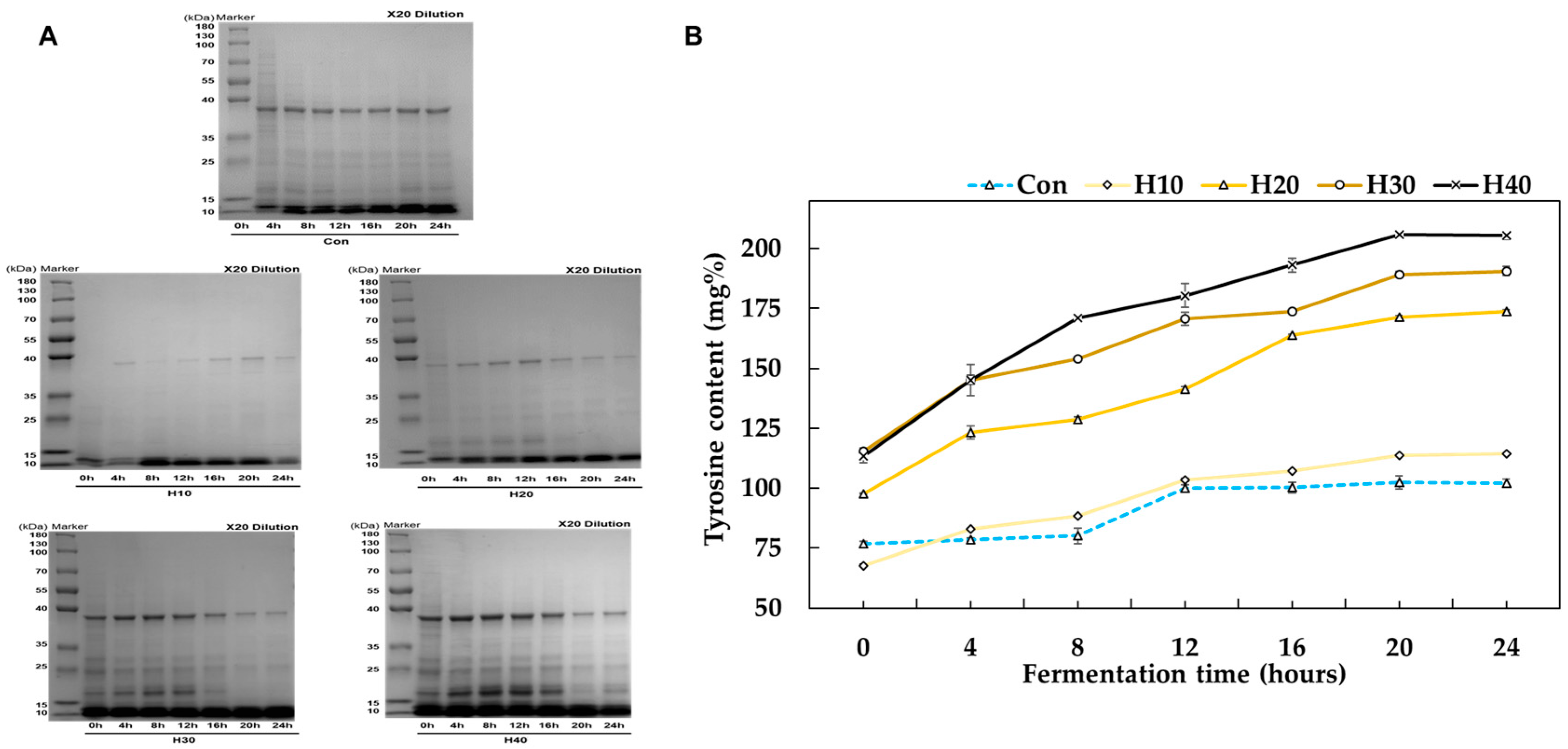 Fermentation 10 00483 g001