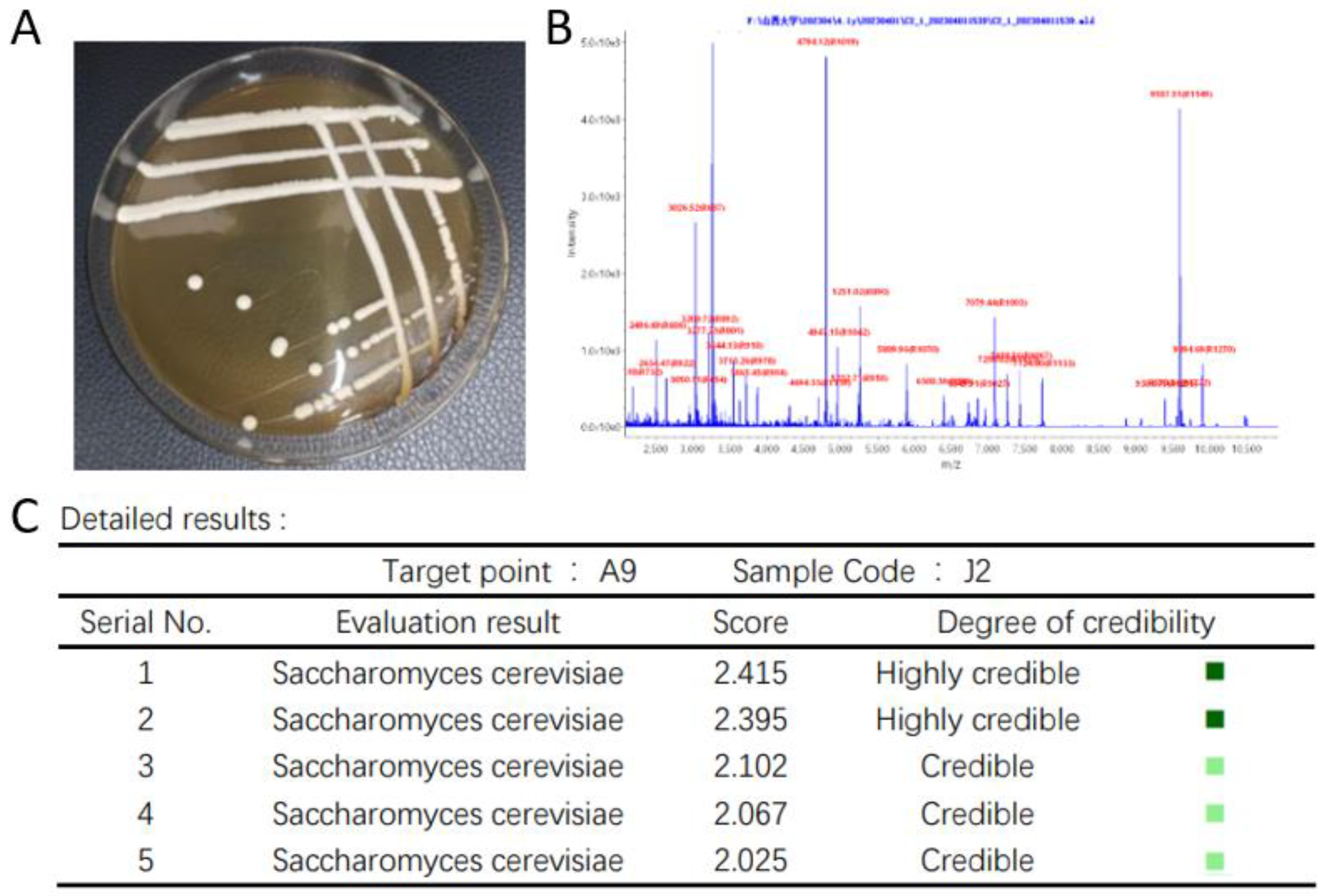 Fermentation 10 00484 g003