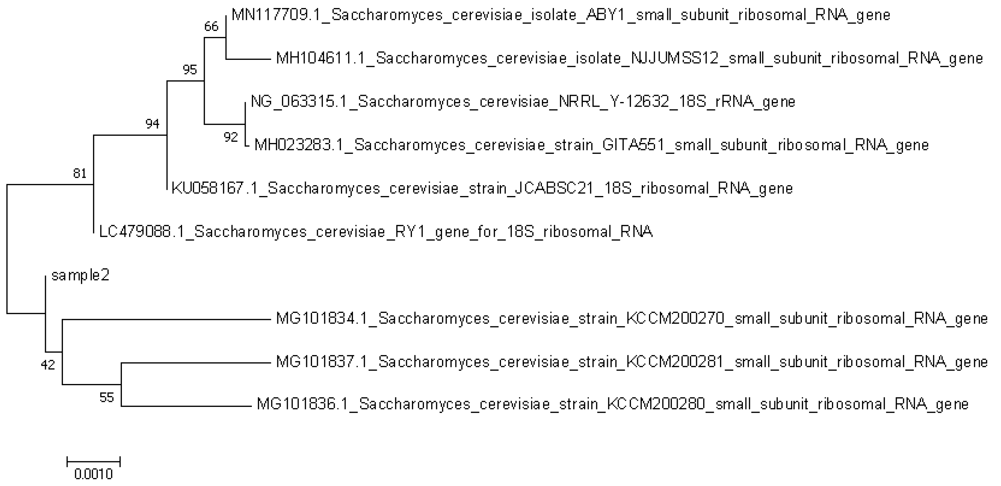 Fermentation 10 00484 g004