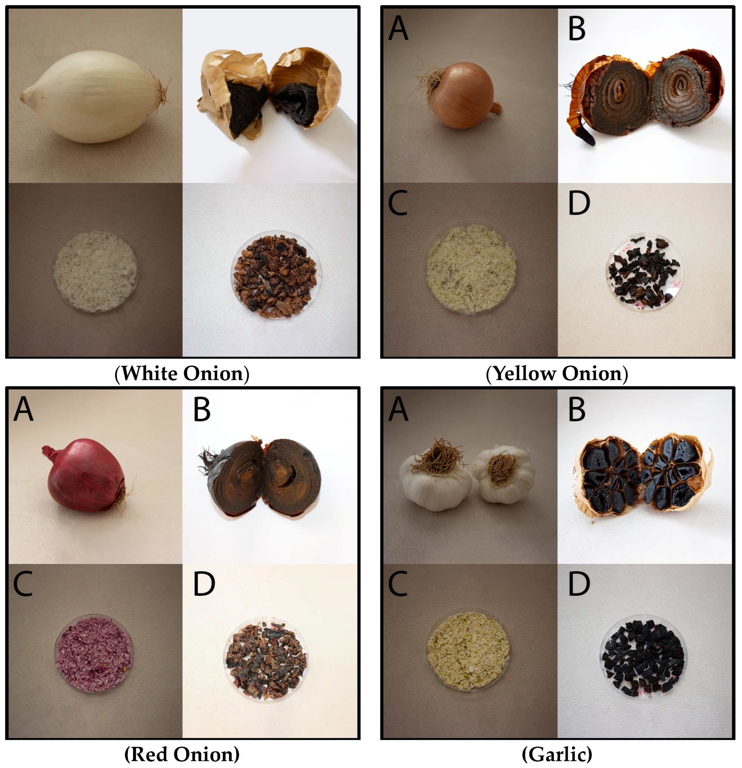Fermentation 10 00486 g001