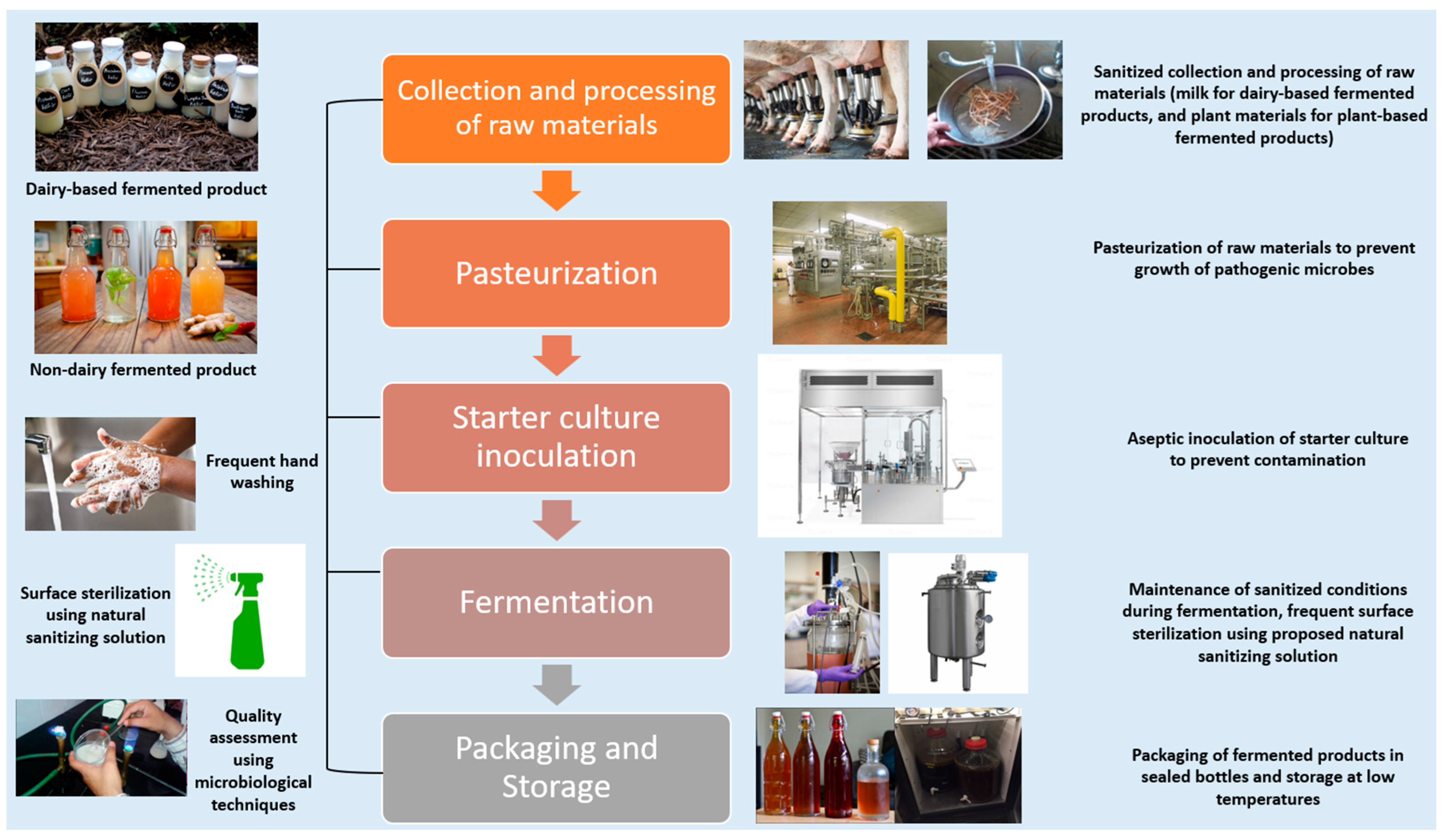 Fermentation 10 00489 g005